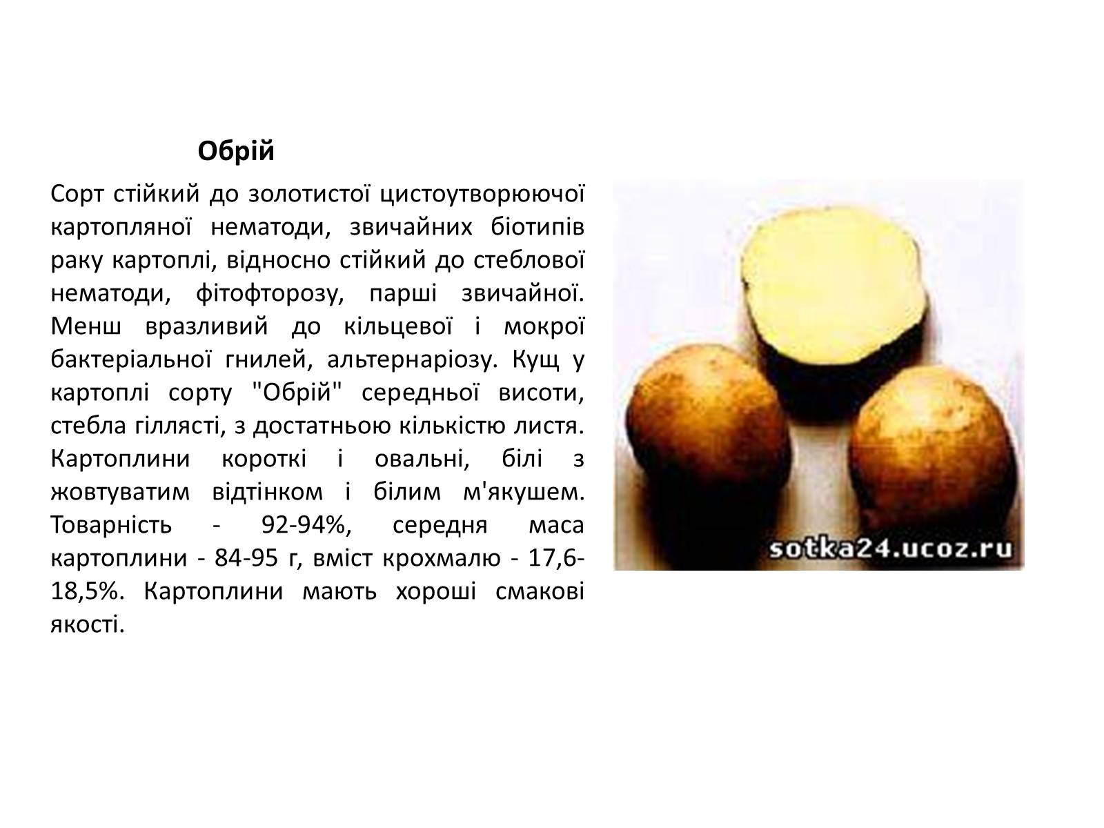 Презентація на тему «Сорти картоплі поширені в Україні» - Слайд #20 Презентація на тему «Сорти картоплі поширені в Україні» - Слайд #20