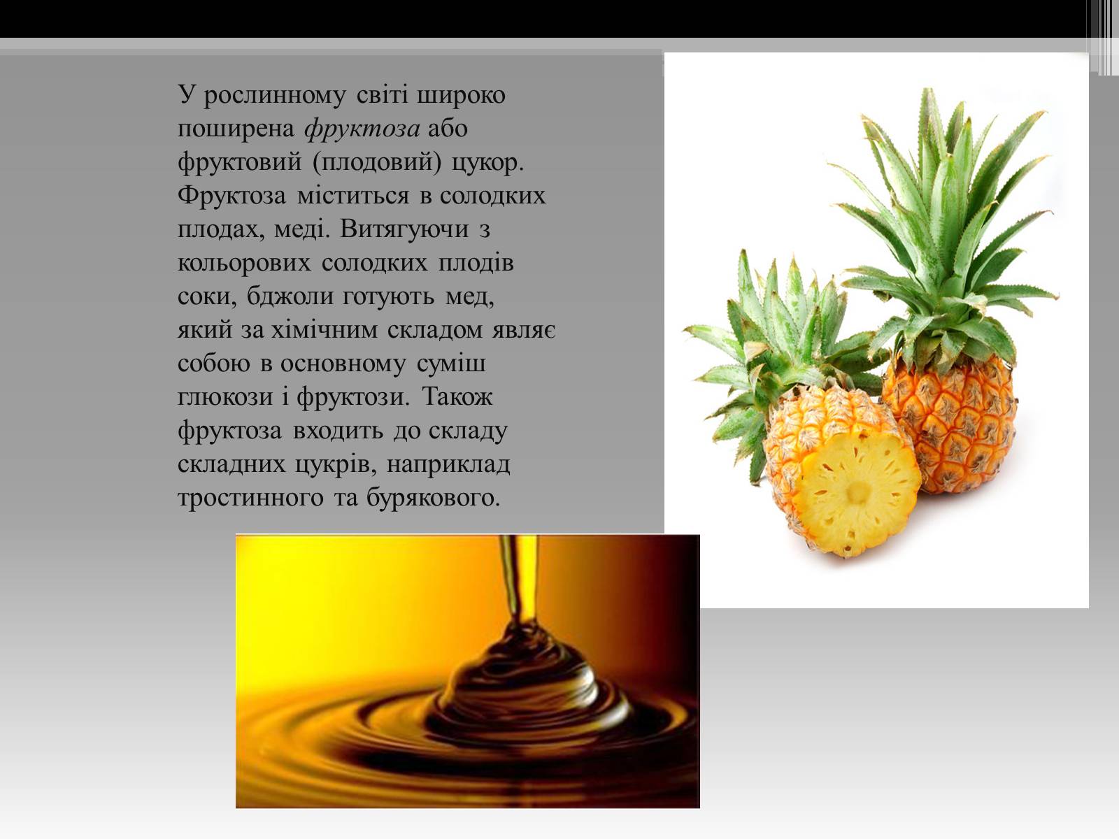 Презентація на тему «Вуглеводи як компоненти їжі, їх роль у житті людини» (варіант 20) - Слайд #5 Презентація на тему «Вуглеводи як компоненти їжі, їх роль у житті людини» (варіант 20) - Слайд #5