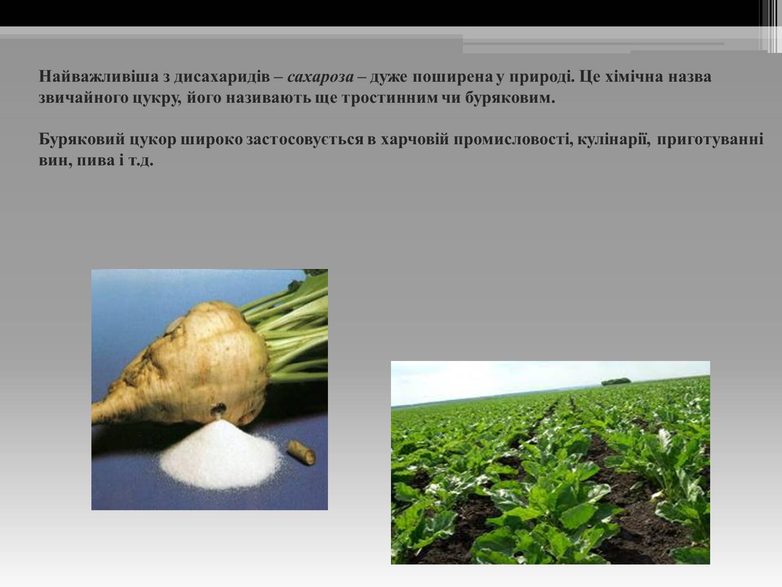 Презентація на тему «Вуглеводи як компоненти їжі, їх роль у житті людини» (варіант 20) - Слайд #9 Презентація на тему «Вуглеводи як компоненти їжі, їх роль у житті людини» (варіант 20) - Слайд #9