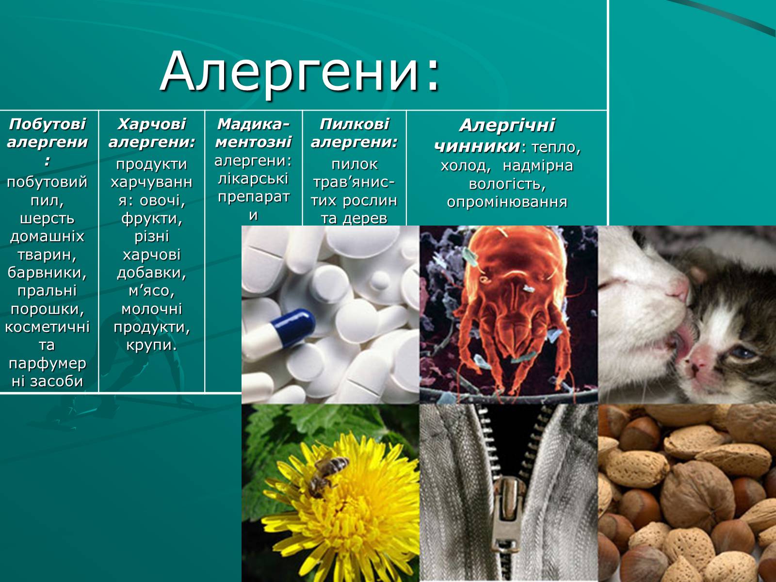 Презентація на тему «Порушення роботи імунної системи» - Слайд #6 Презентація на тему «Порушення роботи імунної системи» - Слайд #6