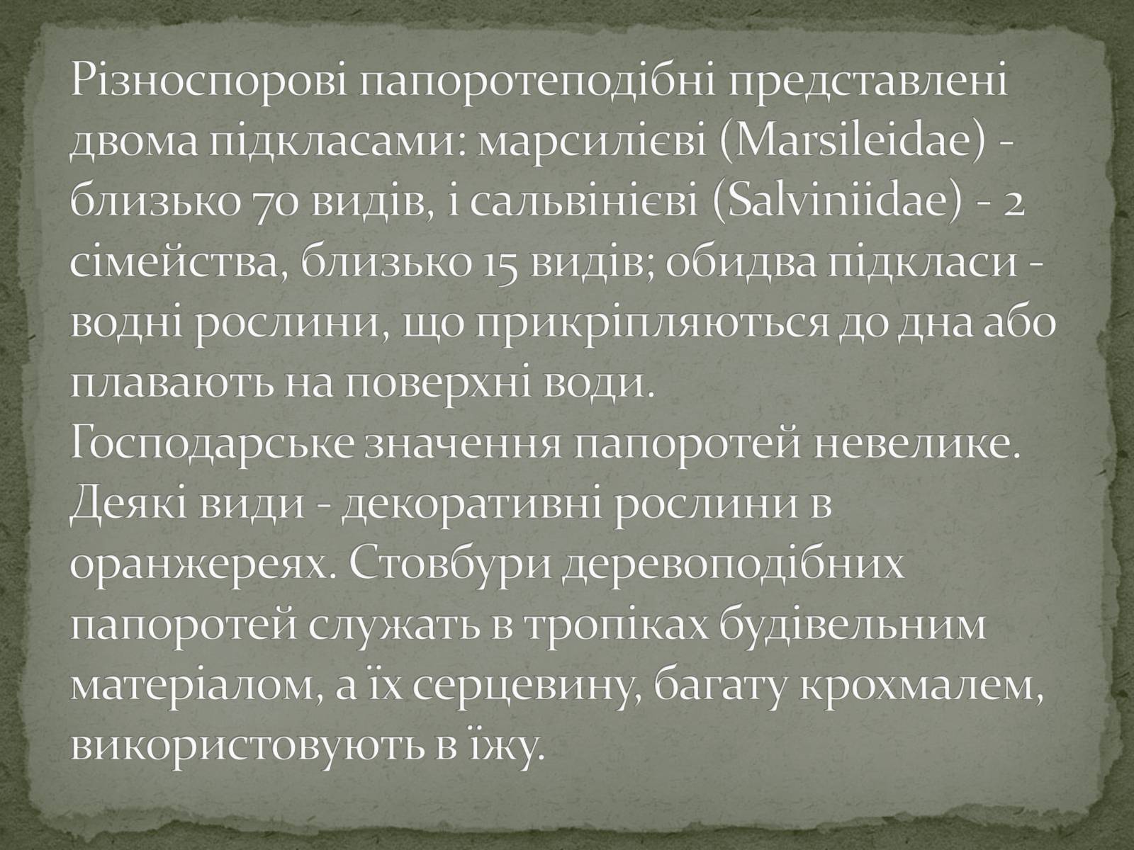 Презентація на тему «Папоротеподібні» (варіант 2) - Слайд #12 Презентація на тему «Папоротеподібні» (варіант 2) - Слайд #12