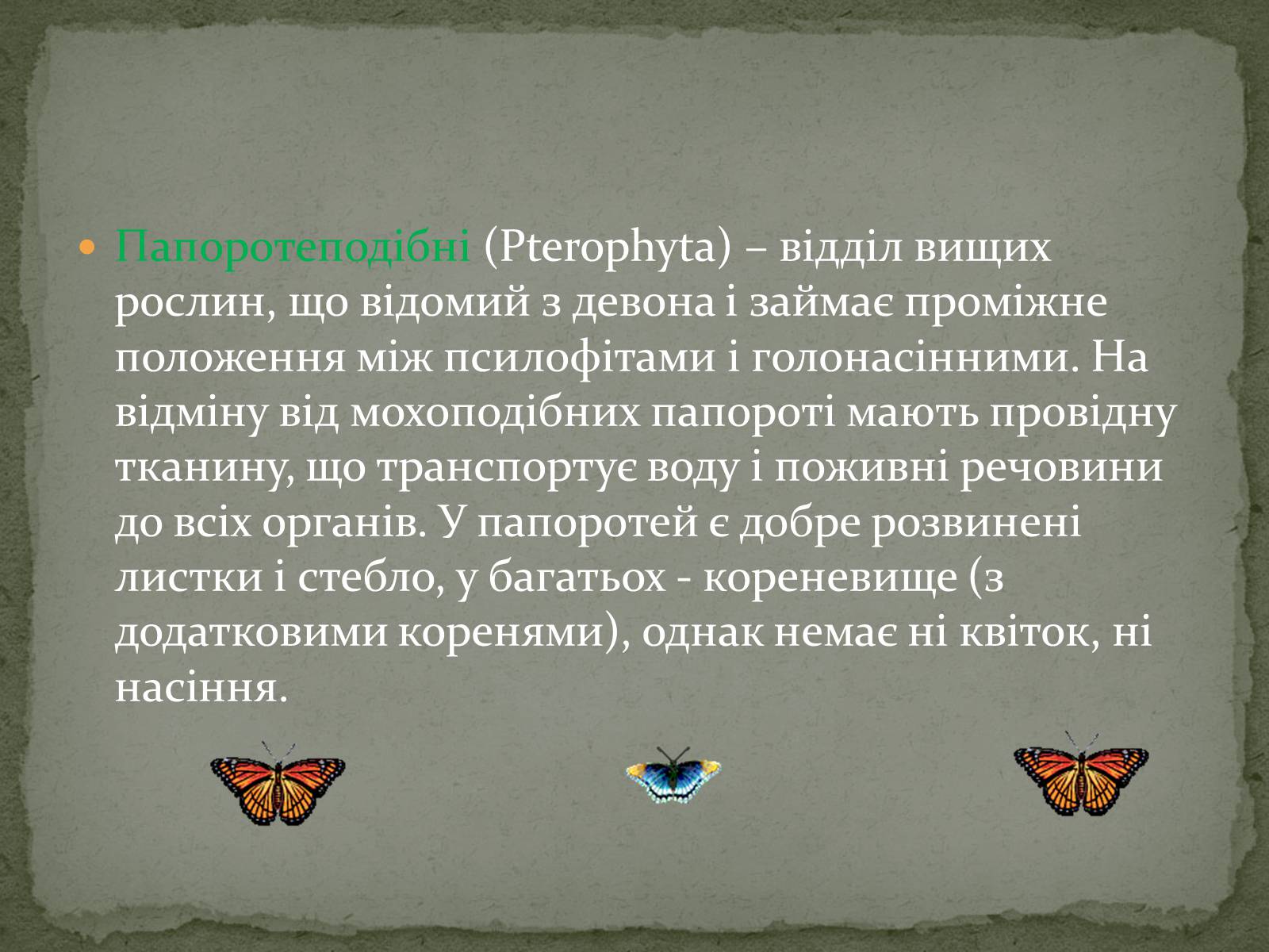 Презентація на тему «Папоротеподібні» (варіант 2) - Слайд #2 Презентація на тему «Папоротеподібні» (варіант 2) - Слайд #2