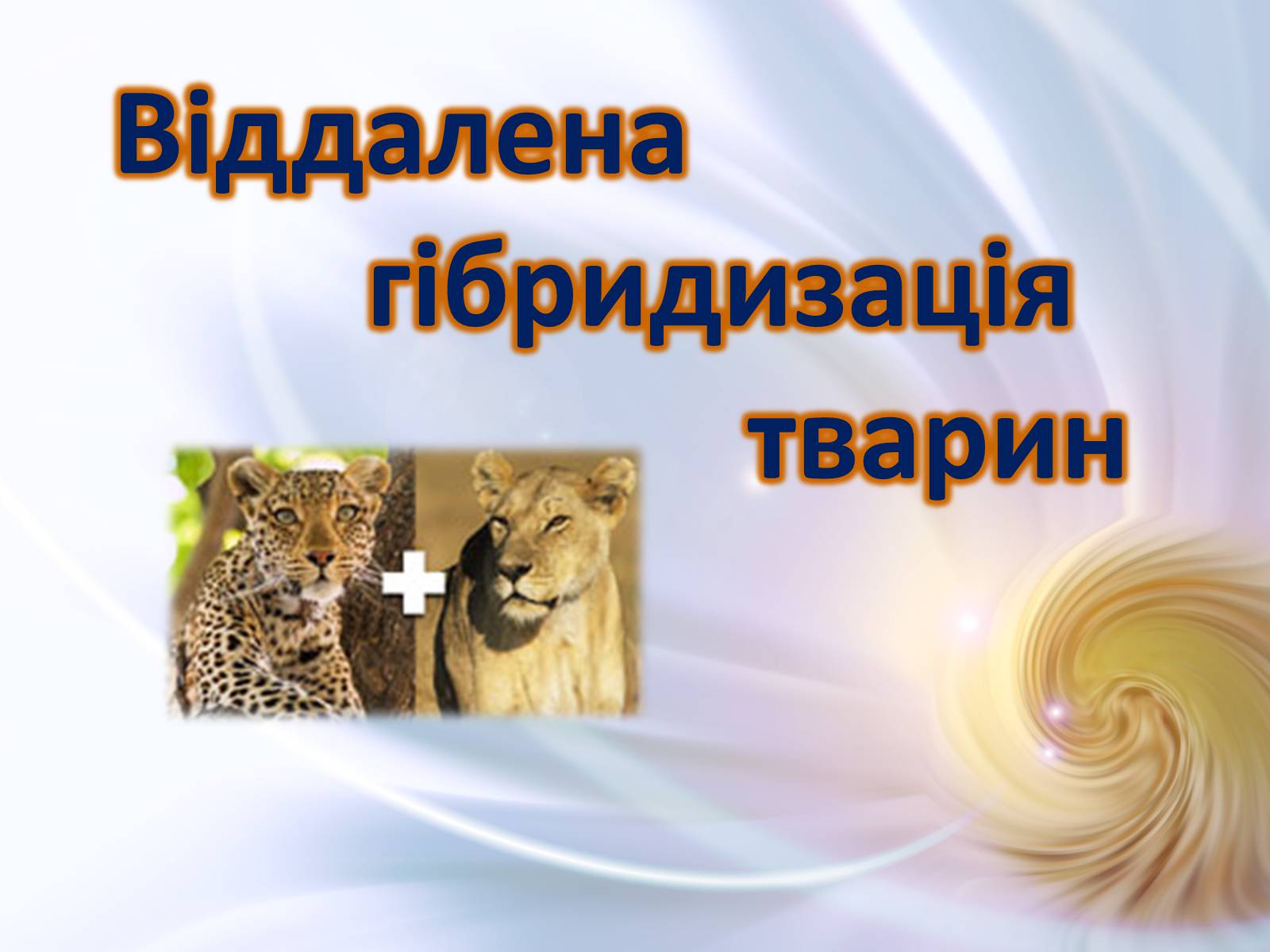 Презентація на тему «Віддалена гібридизація тварин» - Слайд #1 Презентація на тему «Віддалена гібридизація тварин» - Слайд #1