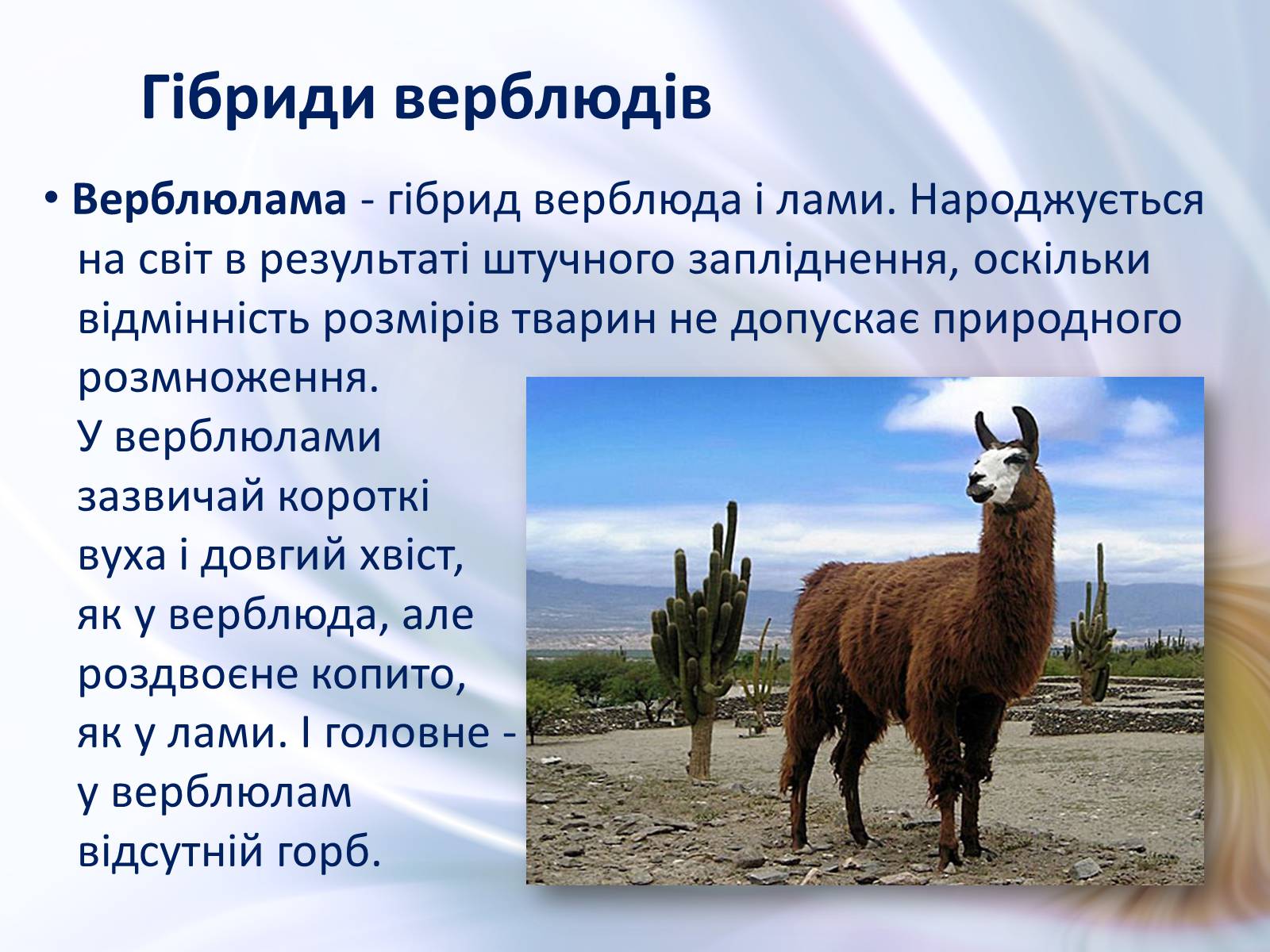 Презентація на тему «Віддалена гібридизація тварин» - Слайд #10 Презентація на тему «Віддалена гібридизація тварин» - Слайд #10