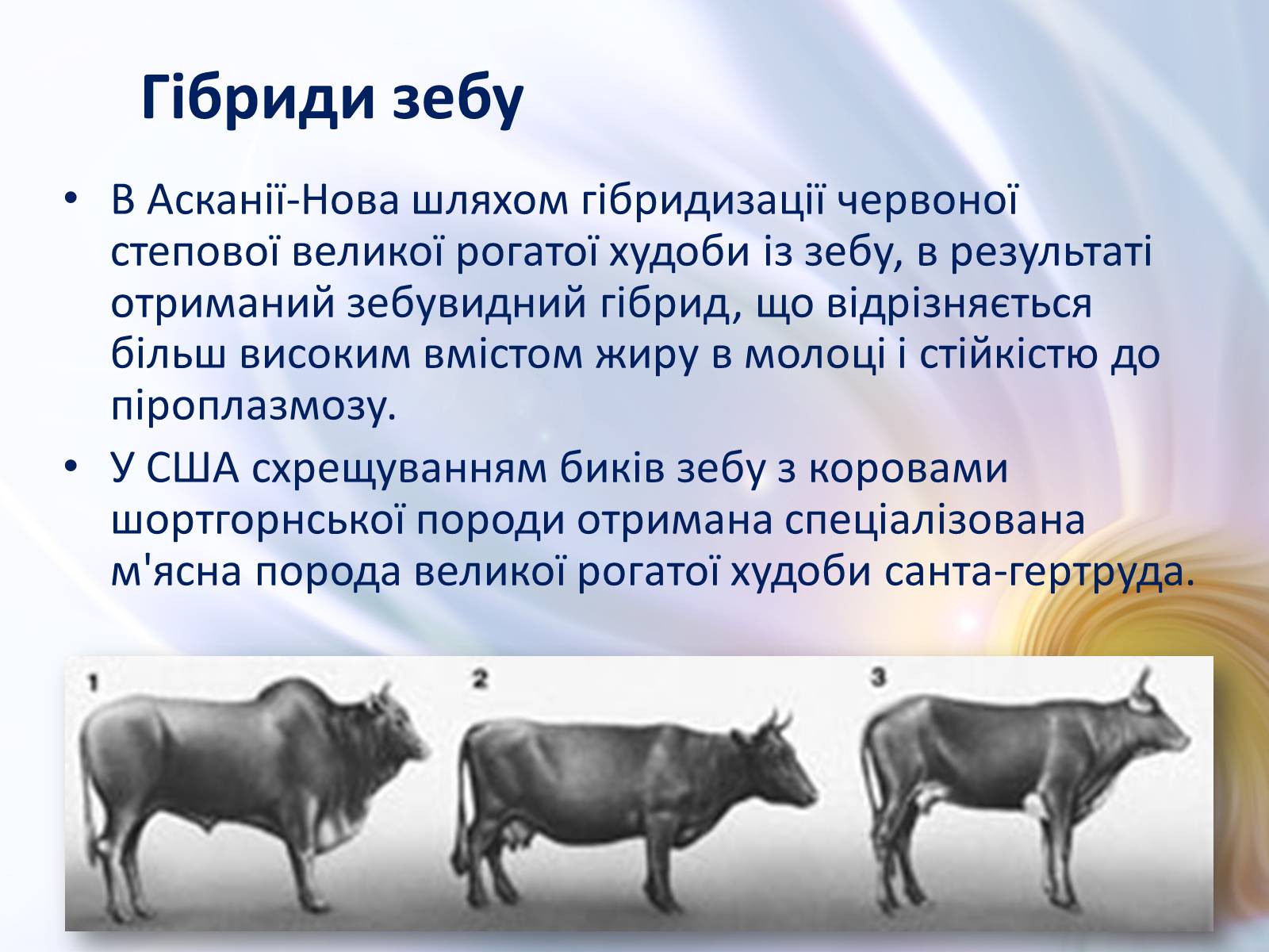 Презентація на тему «Віддалена гібридизація тварин» - Слайд #11 Презентація на тему «Віддалена гібридизація тварин» - Слайд #11