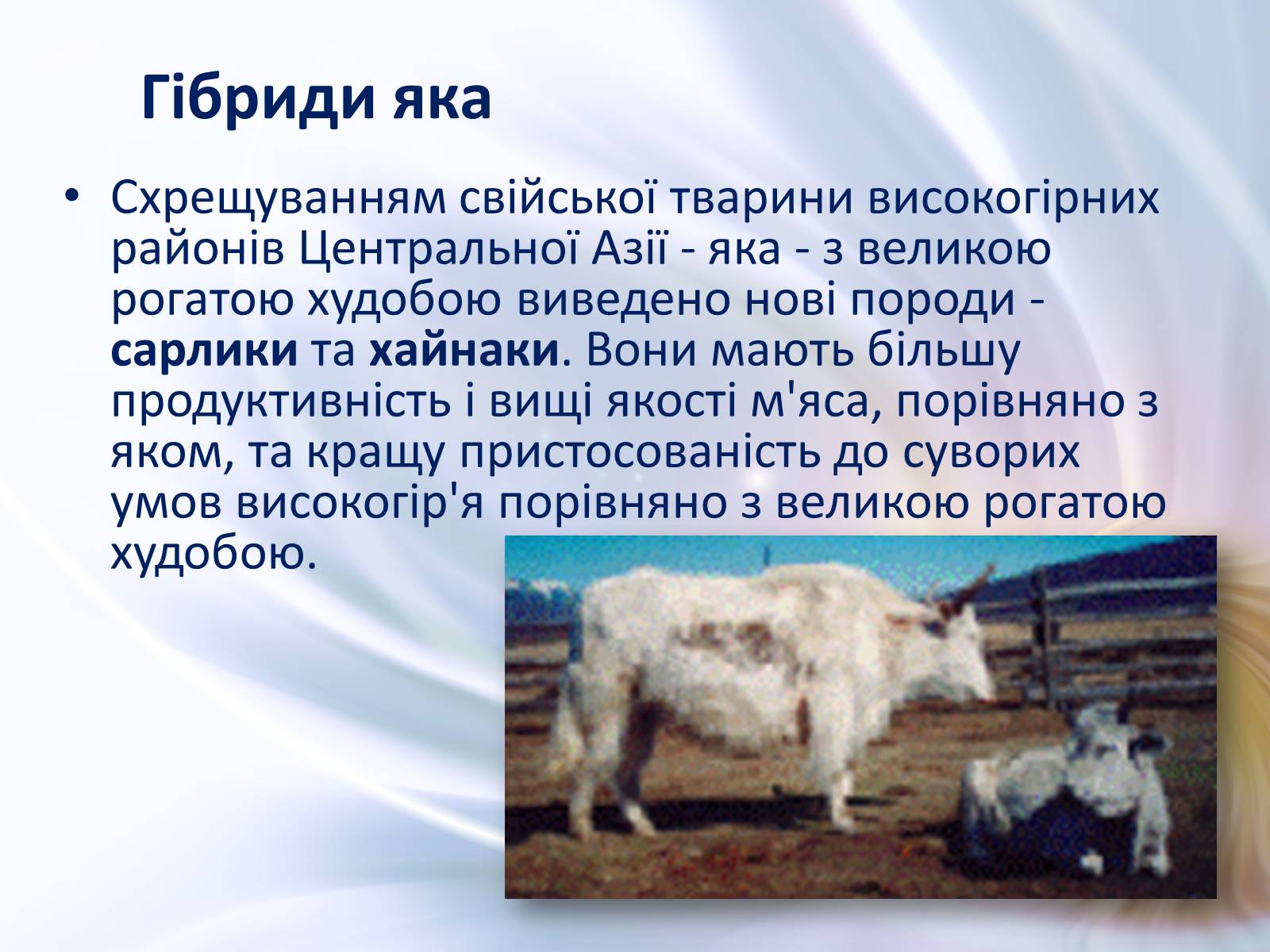 Презентація на тему «Віддалена гібридизація тварин» - Слайд #12 Презентація на тему «Віддалена гібридизація тварин» - Слайд #12