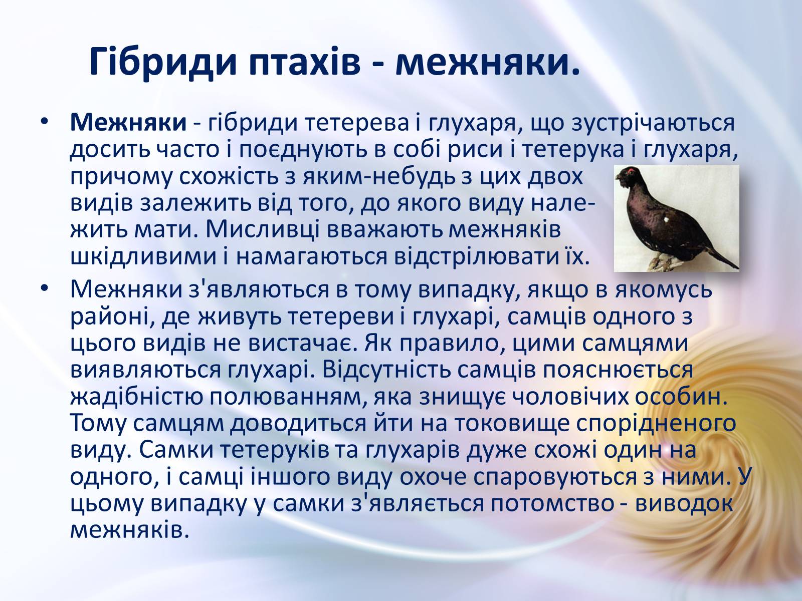 Презентація на тему «Віддалена гібридизація тварин» - Слайд #19 Презентація на тему «Віддалена гібридизація тварин» - Слайд #19
