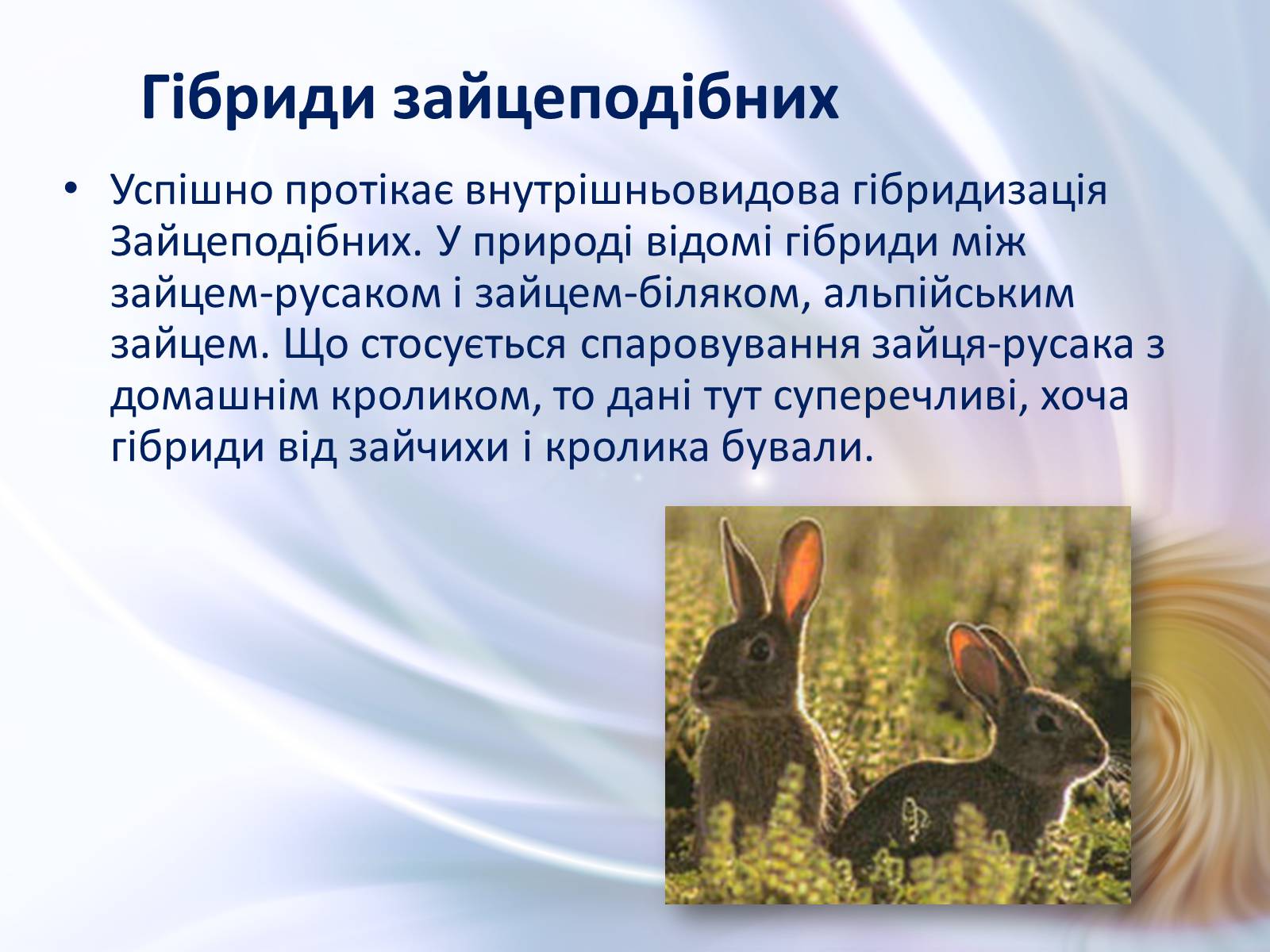 Презентація на тему «Віддалена гібридизація тварин» - Слайд #24 Презентація на тему «Віддалена гібридизація тварин» - Слайд #24