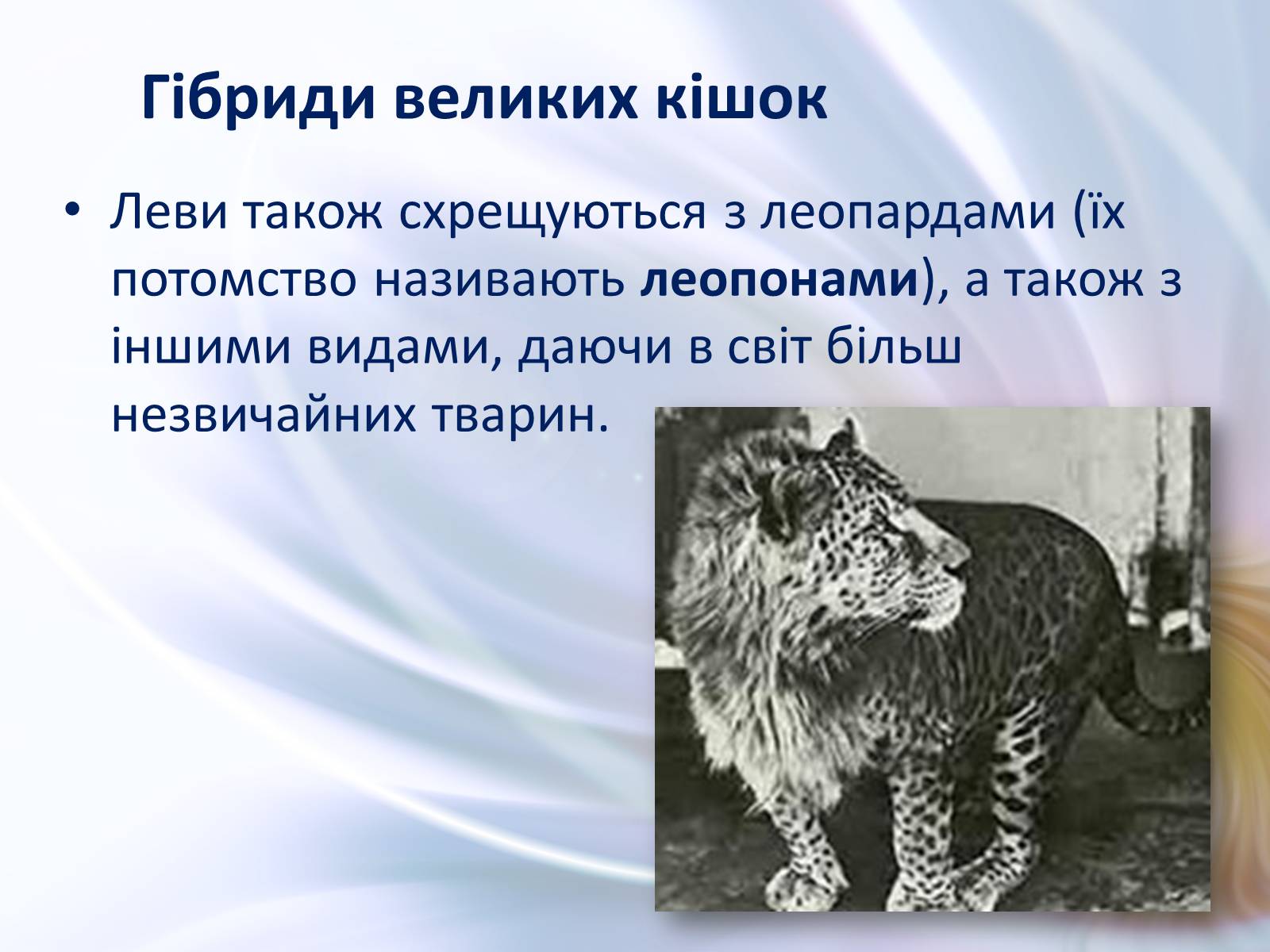 Презентація на тему «Віддалена гібридизація тварин» - Слайд #26 Презентація на тему «Віддалена гібридизація тварин» - Слайд #26