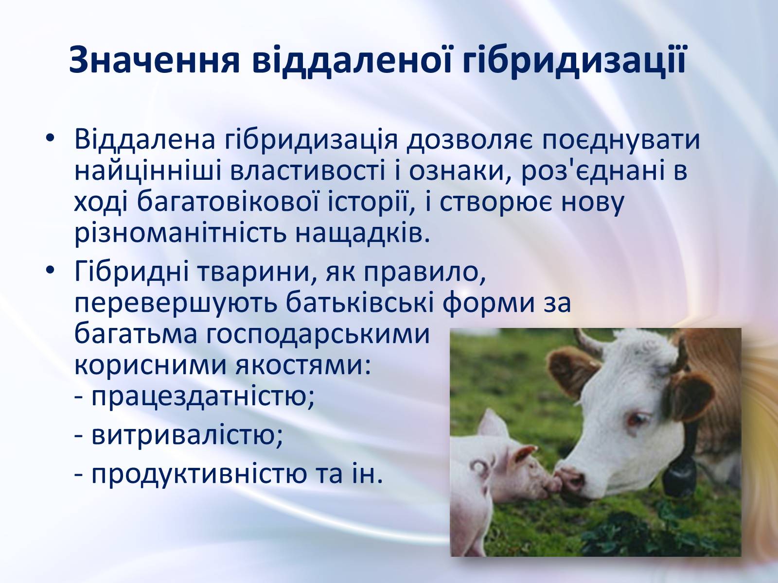 Презентація на тему «Віддалена гібридизація тварин» - Слайд #29 Презентація на тему «Віддалена гібридизація тварин» - Слайд #29