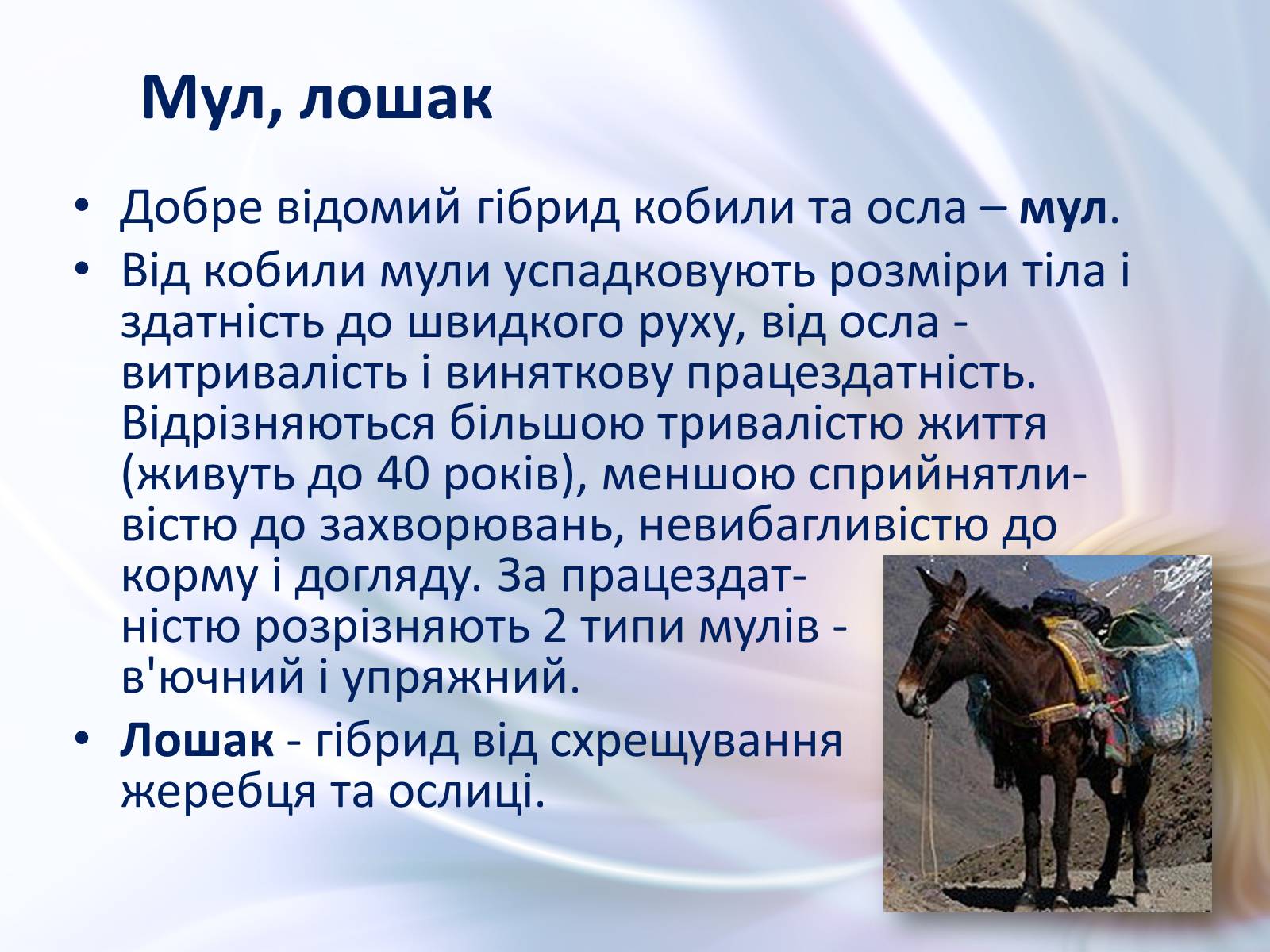 Презентація на тему «Віддалена гібридизація тварин» - Слайд #3 Презентація на тему «Віддалена гібридизація тварин» - Слайд #3