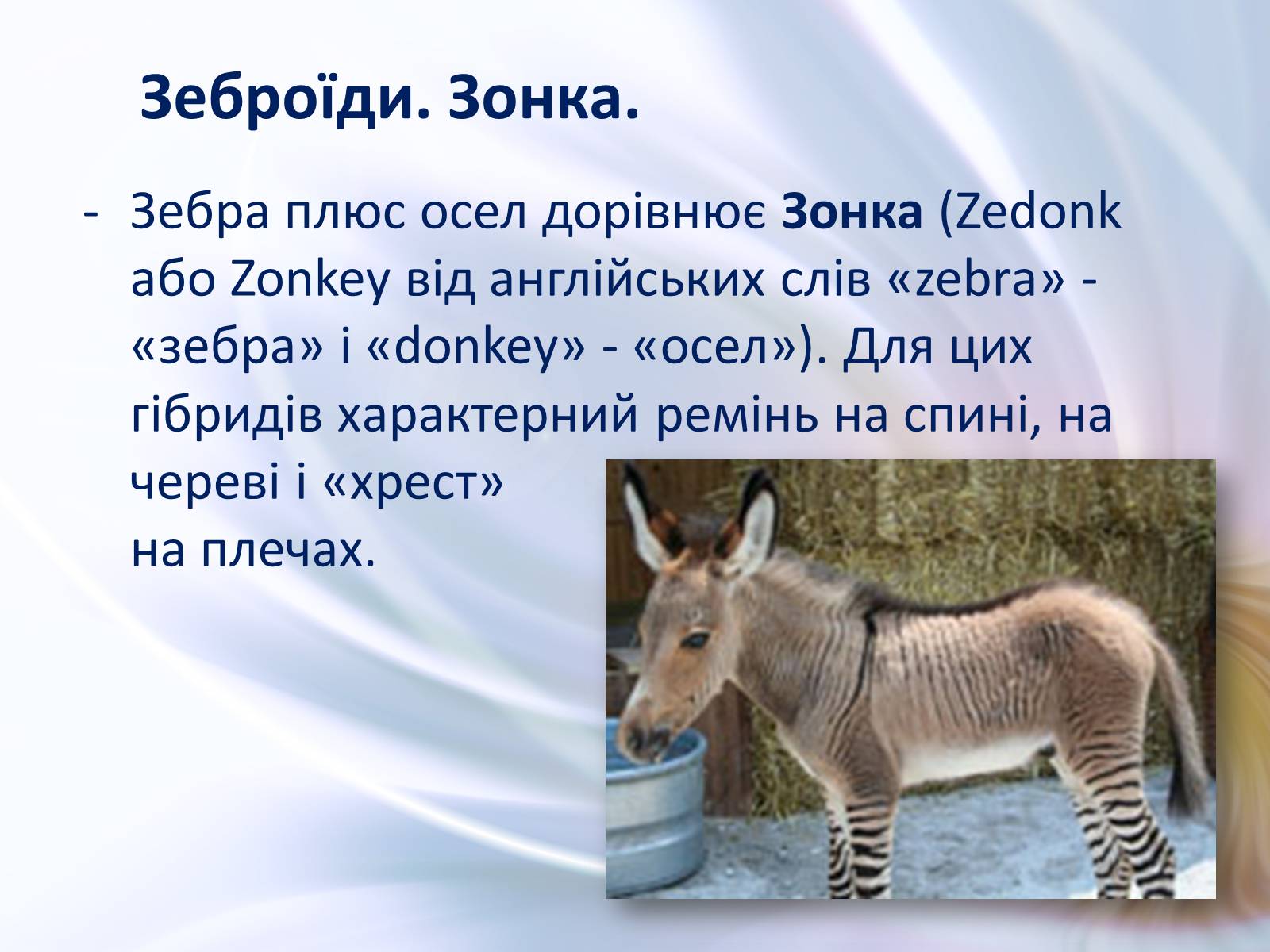 Презентація на тему «Віддалена гібридизація тварин» - Слайд #6 Презентація на тему «Віддалена гібридизація тварин» - Слайд #6