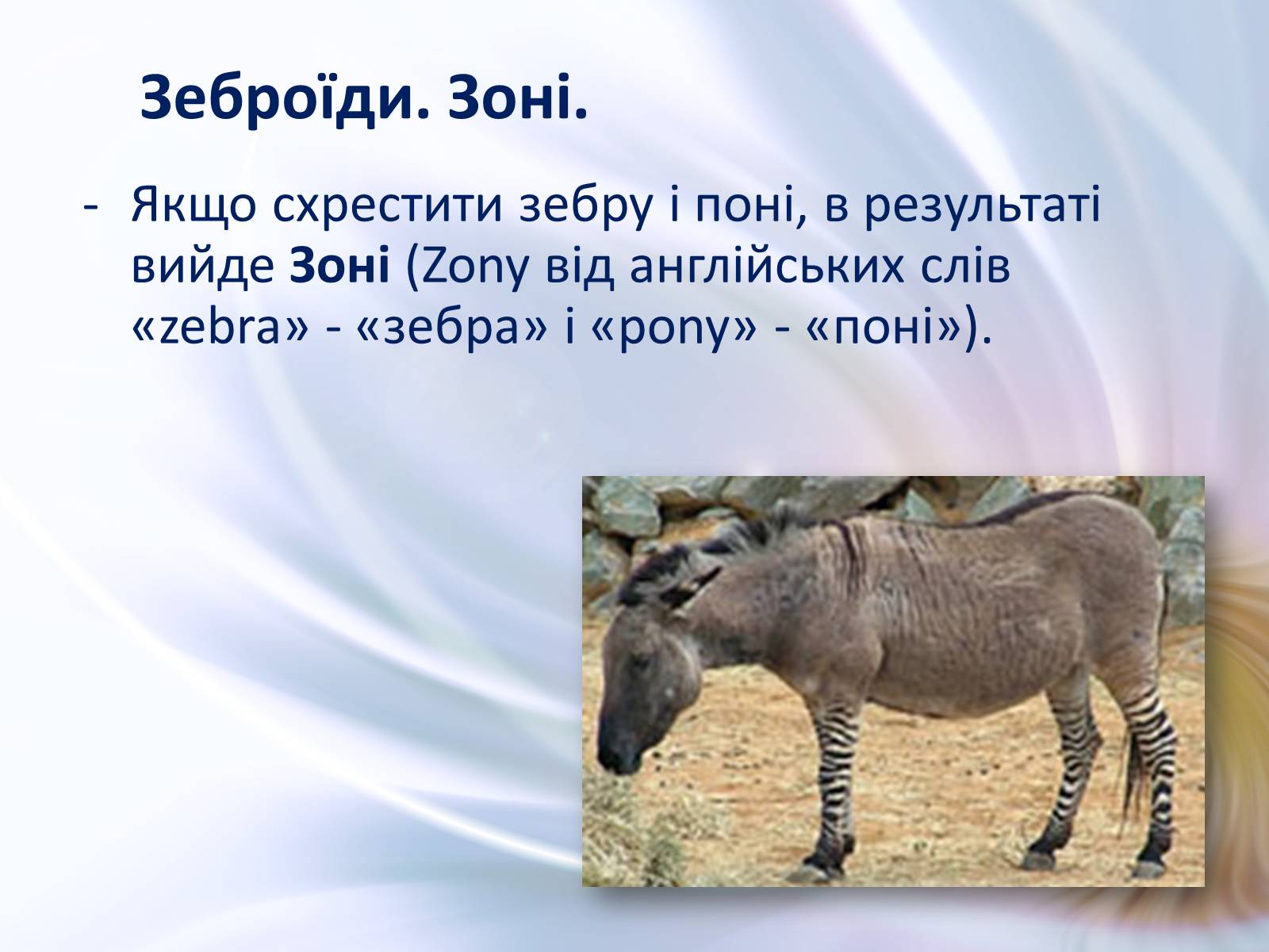 Презентація на тему «Віддалена гібридизація тварин» - Слайд #7 Презентація на тему «Віддалена гібридизація тварин» - Слайд #7