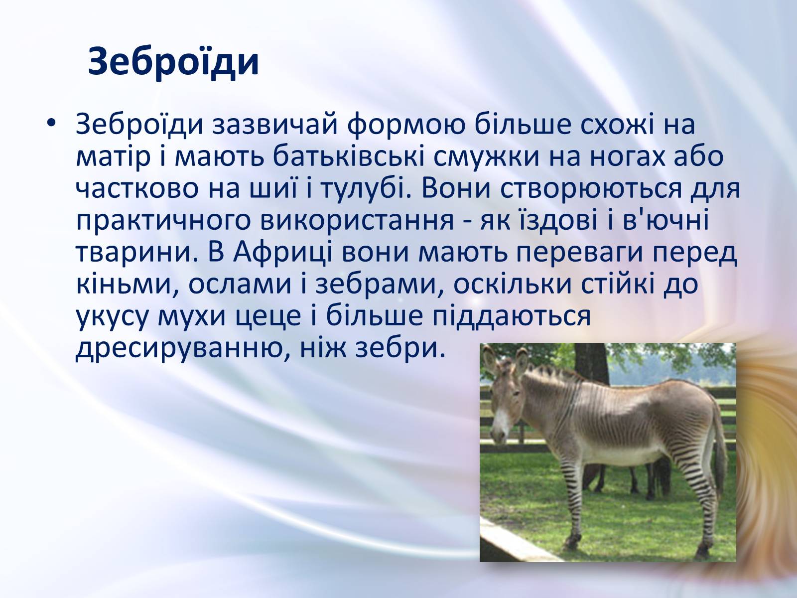 Презентація на тему «Віддалена гібридизація тварин» - Слайд #8 Презентація на тему «Віддалена гібридизація тварин» - Слайд #8