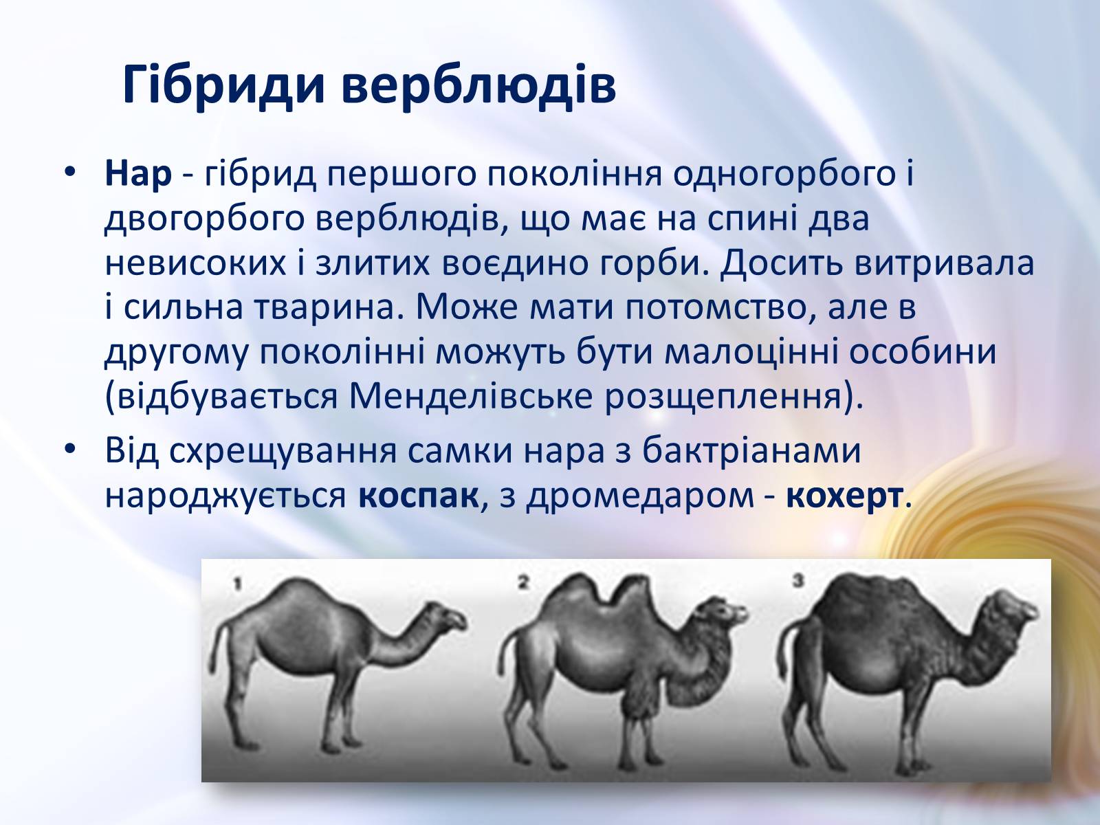 Презентація на тему «Віддалена гібридизація тварин» - Слайд #9 Презентація на тему «Віддалена гібридизація тварин» - Слайд #9