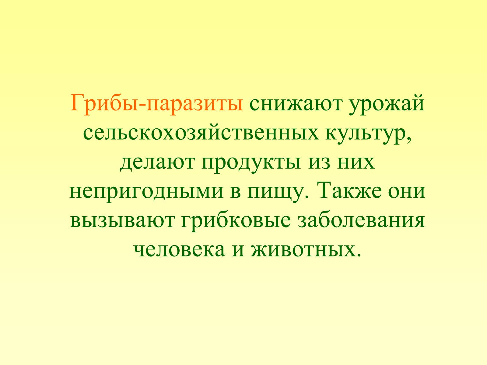 Презентація на тему «РОЛЬ ГРИБОВ В ПРИРОДЕ И ЖИЗНИ ЧЕЛОВЕКА» - Слайд #12 Презентація на тему «РОЛЬ ГРИБОВ В ПРИРОДЕ И ЖИЗНИ ЧЕЛОВЕКА» - Слайд #12