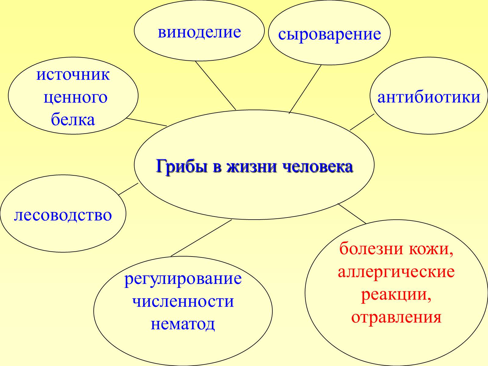 Презентація на тему «РОЛЬ ГРИБОВ В ПРИРОДЕ И ЖИЗНИ ЧЕЛОВЕКА» - Слайд #13 Презентація на тему «РОЛЬ ГРИБОВ В ПРИРОДЕ И ЖИЗНИ ЧЕЛОВЕКА» - Слайд #13