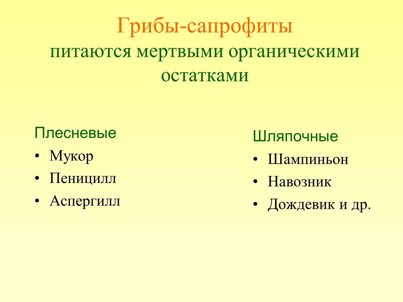 Презентація на тему «РОЛЬ ГРИБОВ В ПРИРОДЕ И ЖИЗНИ ЧЕЛОВЕКА» - Слайд #4 Презентація на тему «РОЛЬ ГРИБОВ В ПРИРОДЕ И ЖИЗНИ ЧЕЛОВЕКА» - Слайд #4
