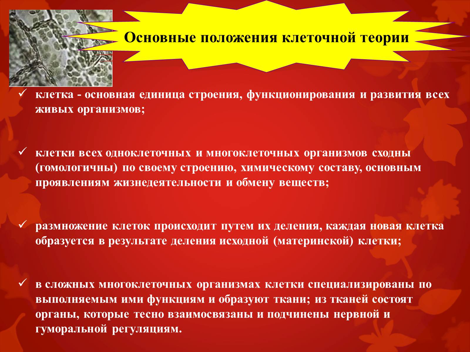 Презентація на тему «Строение клетки и её функции» - Слайд #3 Презентація на тему «Строение клетки и её функции» - Слайд #3