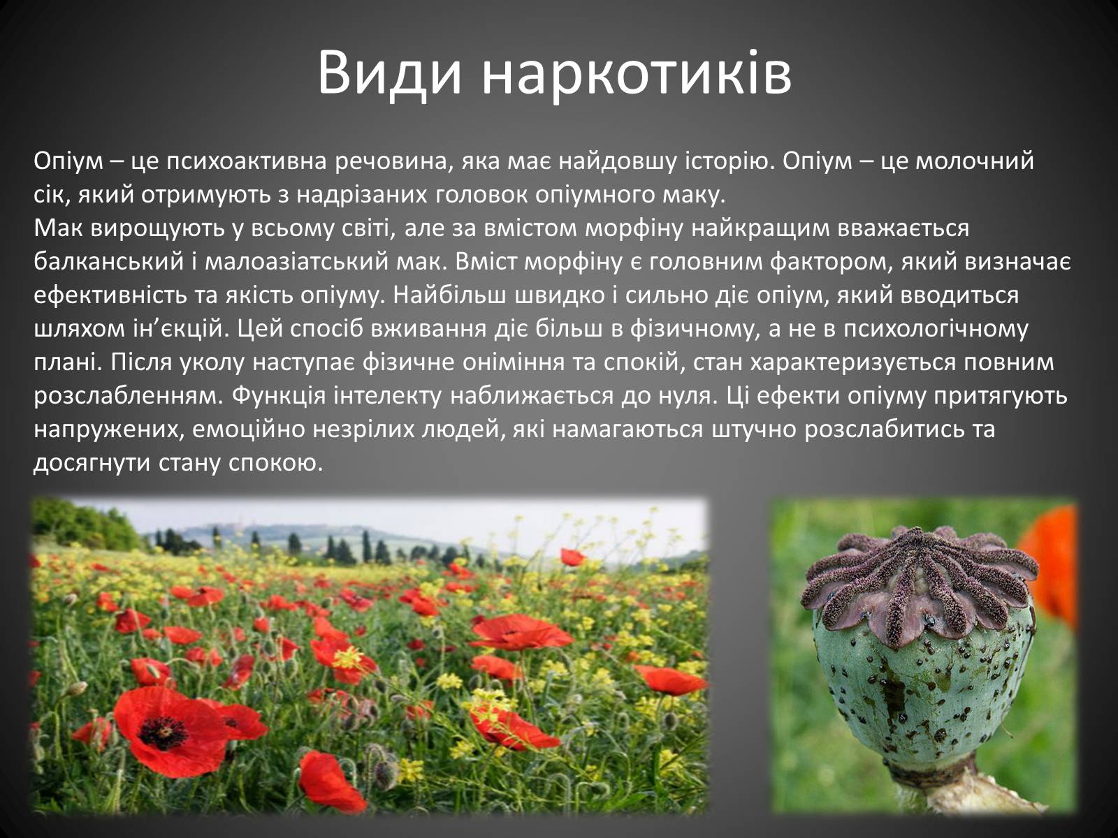Презентація на тему «Наркоманія» (варіант 4) - Слайд #5 Презентація на тему «Наркоманія» (варіант 4) - Слайд #5
