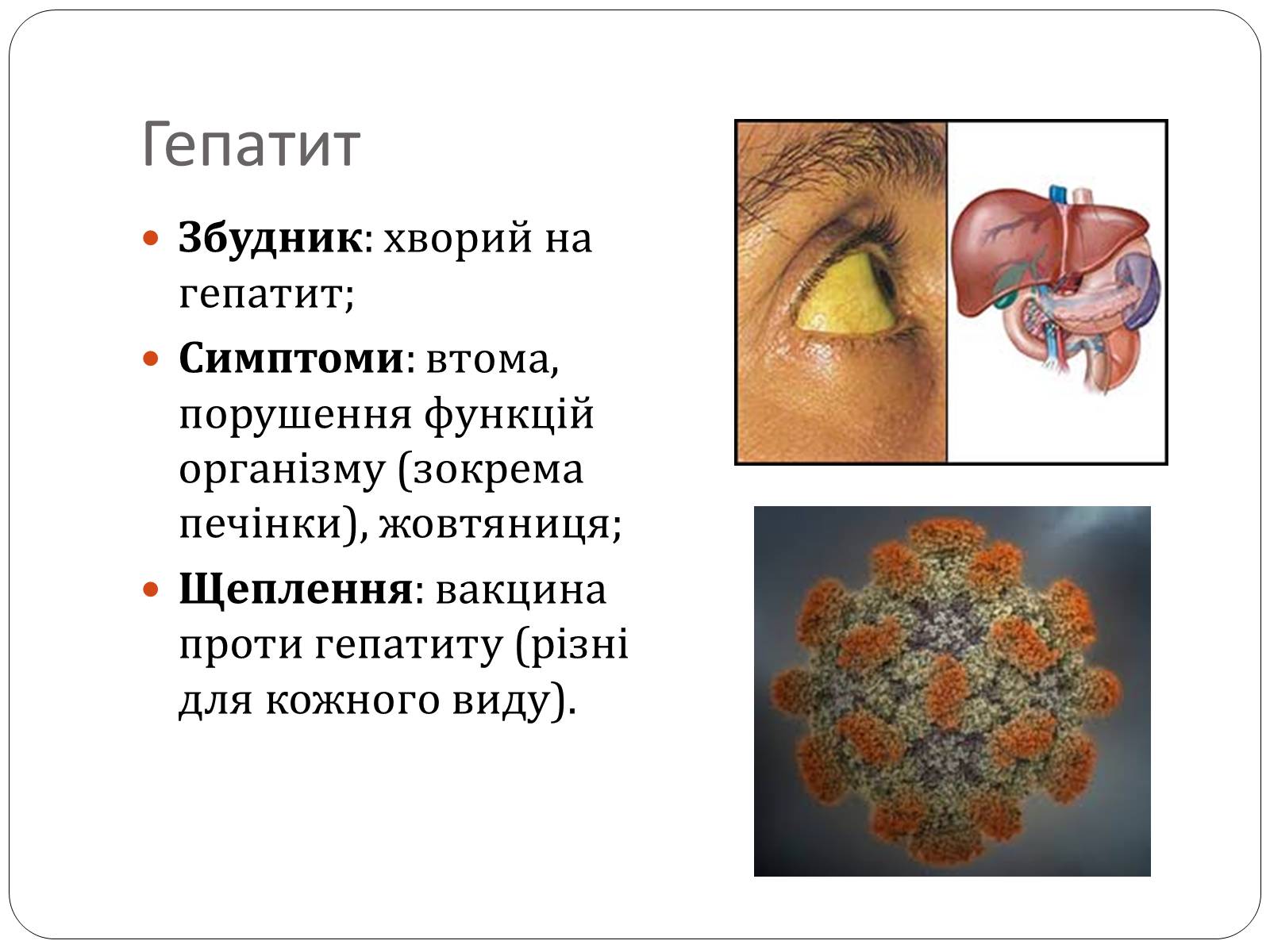 Презентація на тему «Інфекційні захворювання» (варіант 3) - Слайд #5 Презентація на тему «Інфекційні захворювання» (варіант 3) - Слайд #5