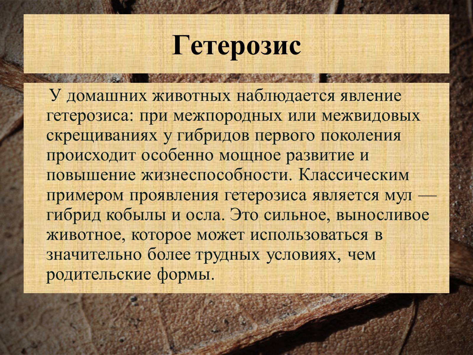 Презентація на тему «Селекция животных» (варіант 2) - Слайд #11 Презентація на тему «Селекция животных» (варіант 2) - Слайд #11