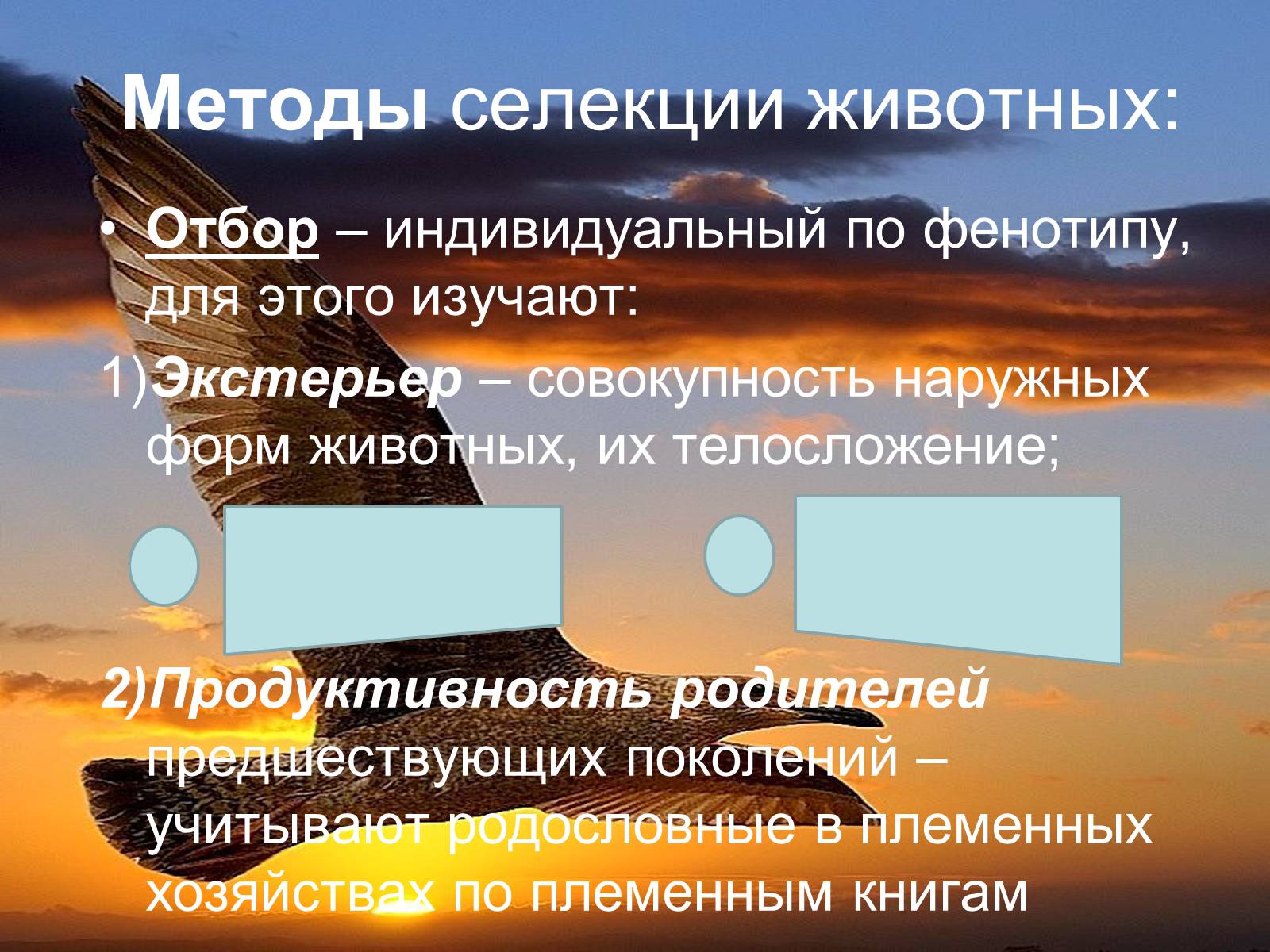 Презентація на тему «Селекция животных» (варіант 2) - Слайд #3 Презентація на тему «Селекция животных» (варіант 2) - Слайд #3