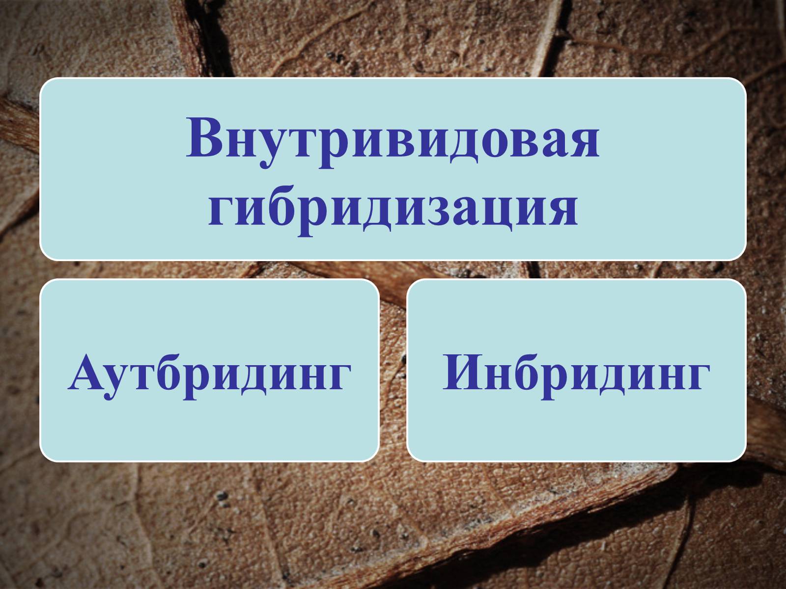 Презентація на тему «Селекция животных» (варіант 2) - Слайд #7 Презентація на тему «Селекция животных» (варіант 2) - Слайд #7
