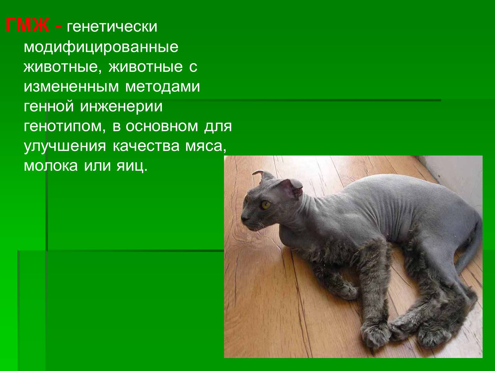 Презентація на тему «Генетически модифицированные объекты» - Слайд #10 Презентація на тему «Генетически модифицированные объекты» - Слайд #10