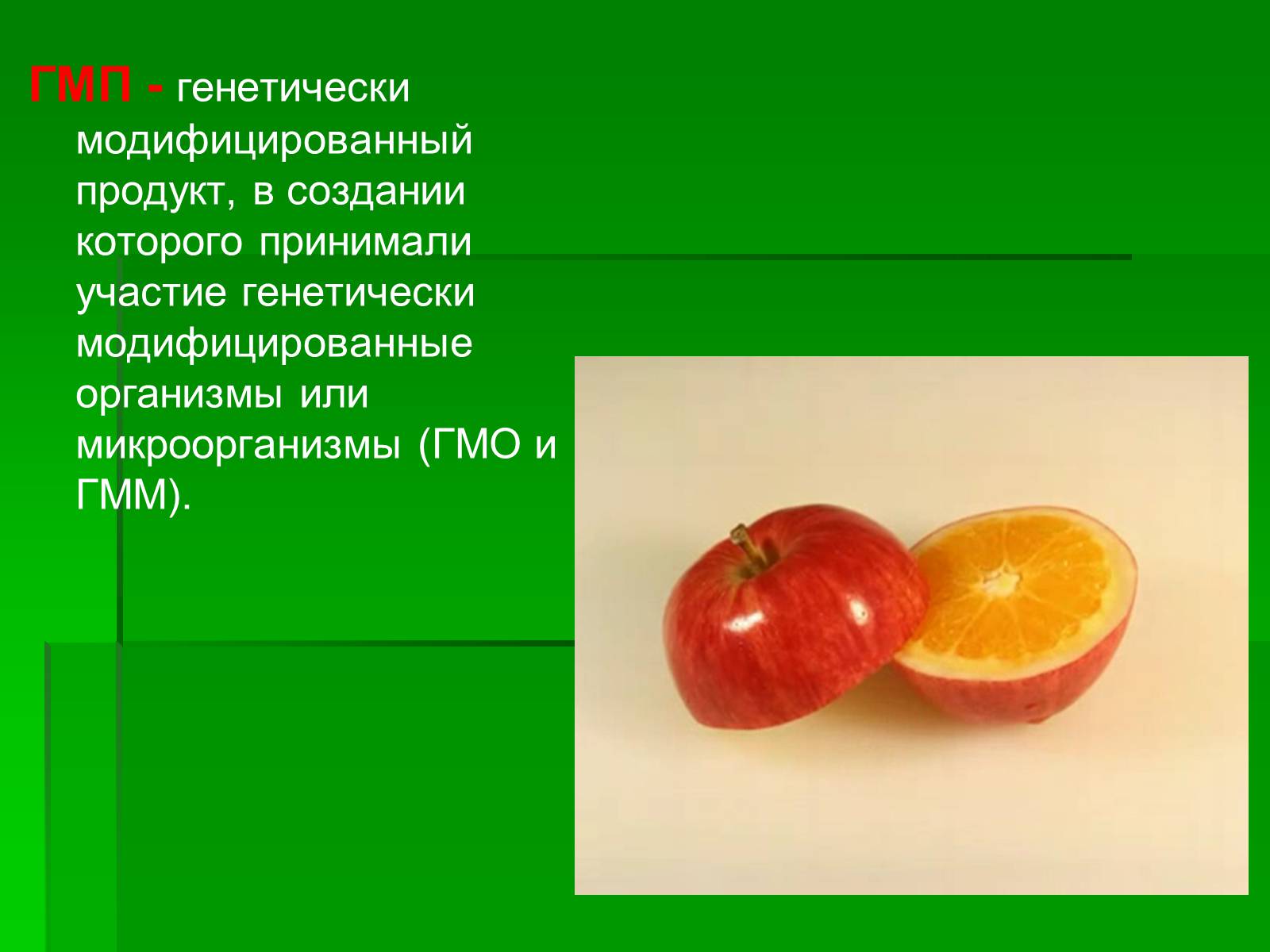 Презентація на тему «Генетически модифицированные объекты» - Слайд #11 Презентація на тему «Генетически модифицированные объекты» - Слайд #11