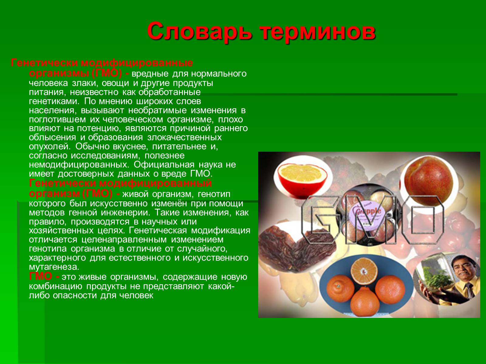 Презентація на тему «Генетически модифицированные объекты» - Слайд #4 Презентація на тему «Генетически модифицированные объекты» - Слайд #4