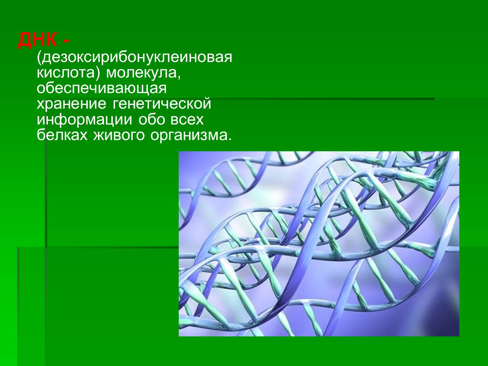 Презентація на тему «Генетически модифицированные объекты» - Слайд #5 Презентація на тему «Генетически модифицированные объекты» - Слайд #5
