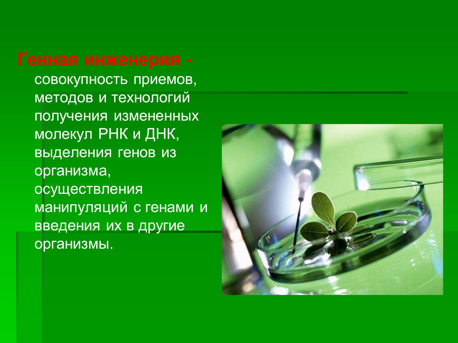 Презентація на тему «Генетически модифицированные объекты» - Слайд #7 Презентація на тему «Генетически модифицированные объекты» - Слайд #7