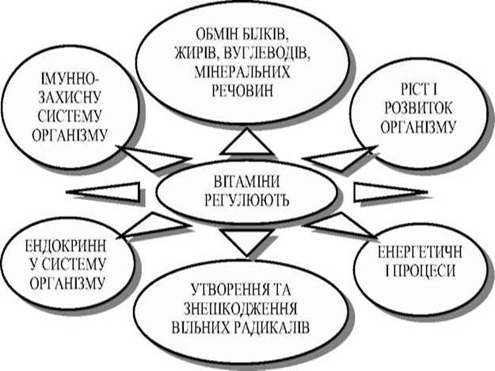 Презентація на тему «Вітаміни» (варіант 7) - Слайд #13 Презентація на тему «Вітаміни» (варіант 7) - Слайд #13