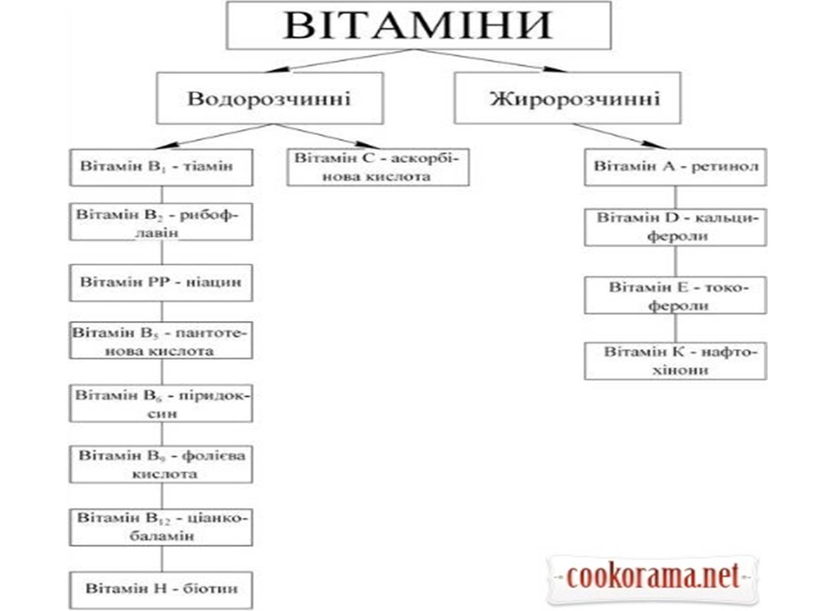 Презентація на тему «Вітаміни» (варіант 7) - Слайд #3 Презентація на тему «Вітаміни» (варіант 7) - Слайд #3