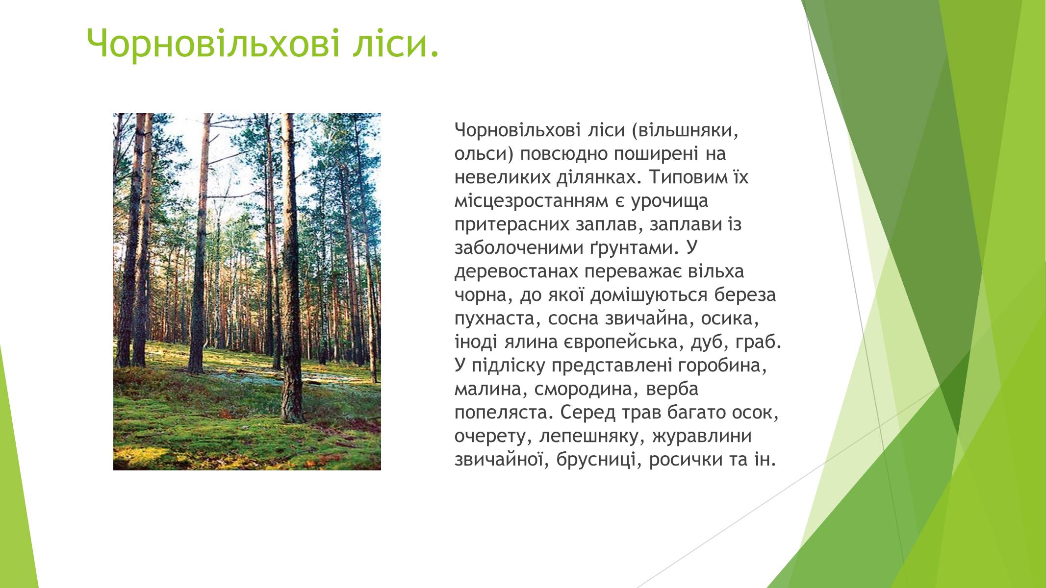 Презентація на тему «Рослинний покрив України» (варіант 1) - Слайд #10 Презентація на тему «Рослинний покрив України» (варіант 1) - Слайд #10