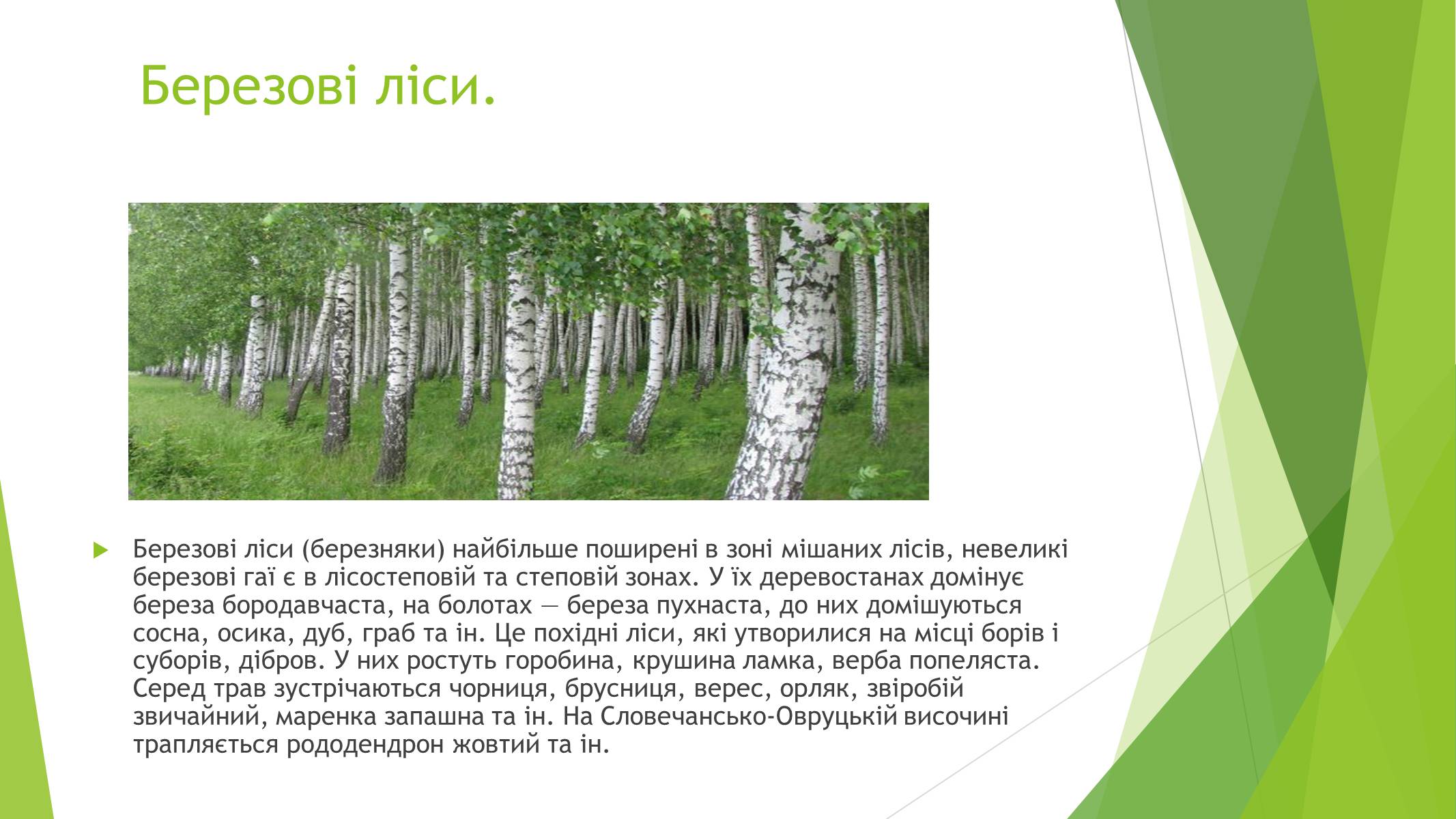 Презентація на тему «Рослинний покрив України» (варіант 1) - Слайд #11 Презентація на тему «Рослинний покрив України» (варіант 1) - Слайд #11
