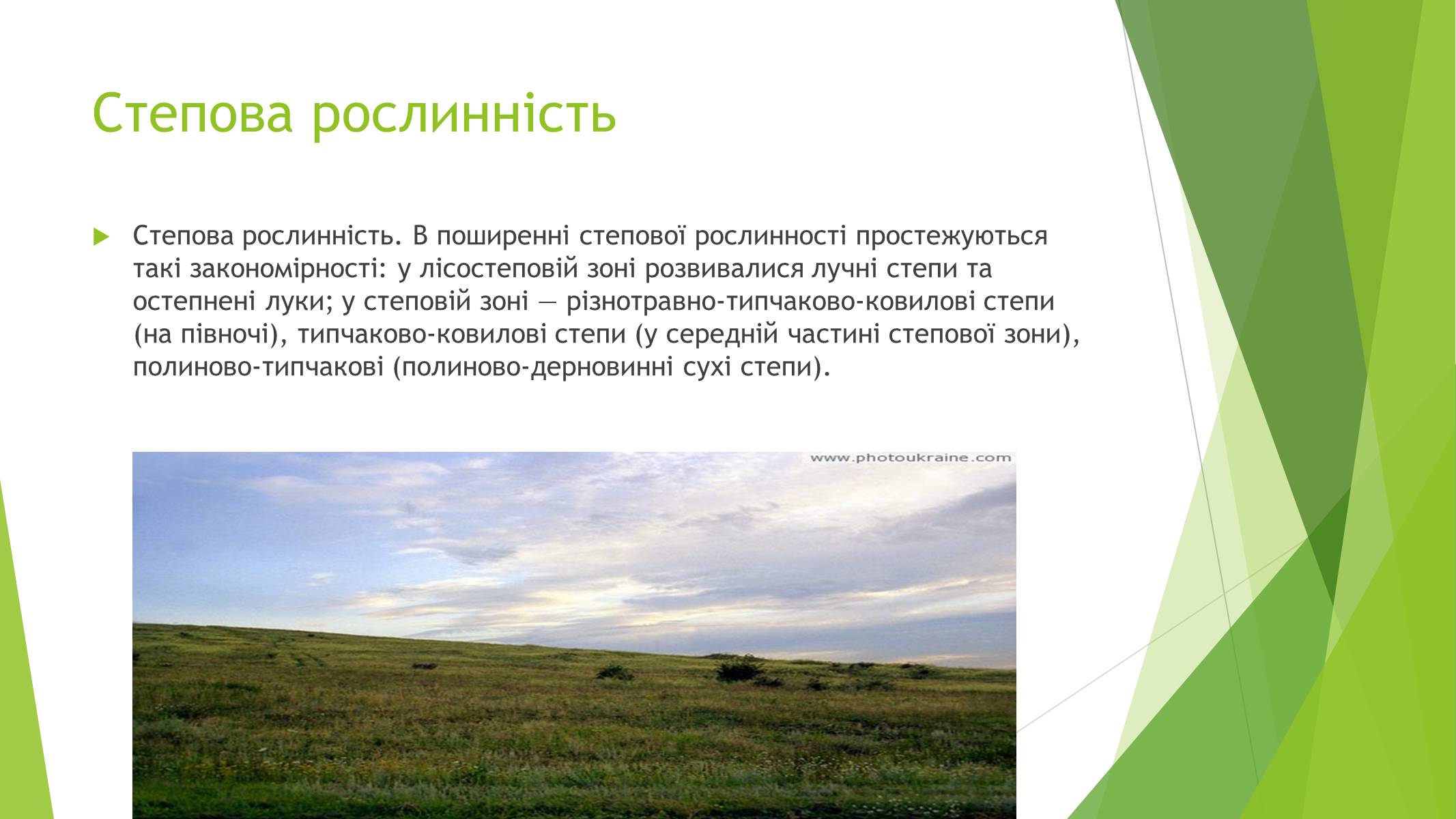 Презентація на тему «Рослинний покрив України» (варіант 1) - Слайд #12 Презентація на тему «Рослинний покрив України» (варіант 1) - Слайд #12