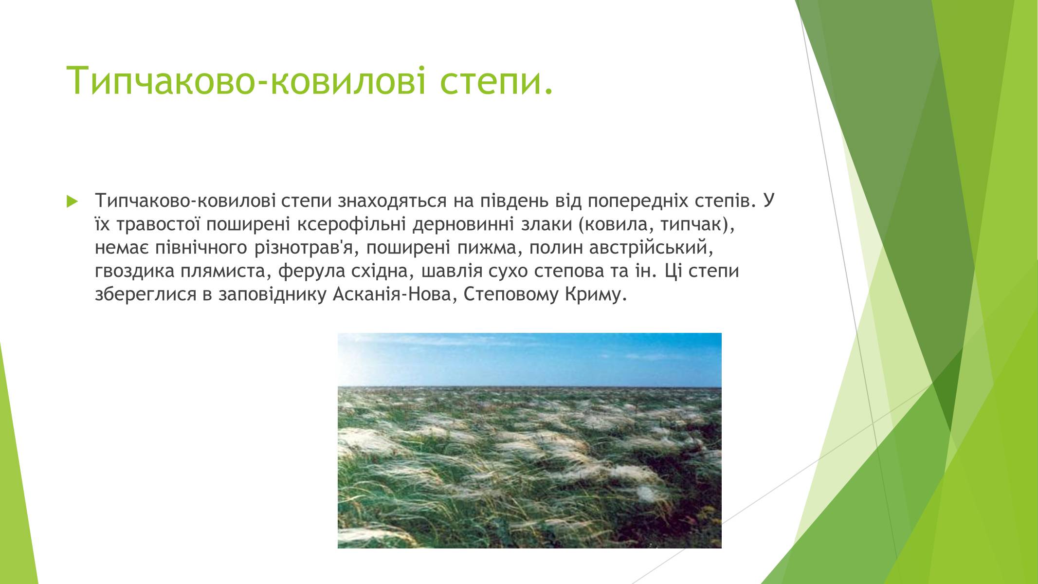 Презентація на тему «Рослинний покрив України» (варіант 1) - Слайд #14 Презентація на тему «Рослинний покрив України» (варіант 1) - Слайд #14