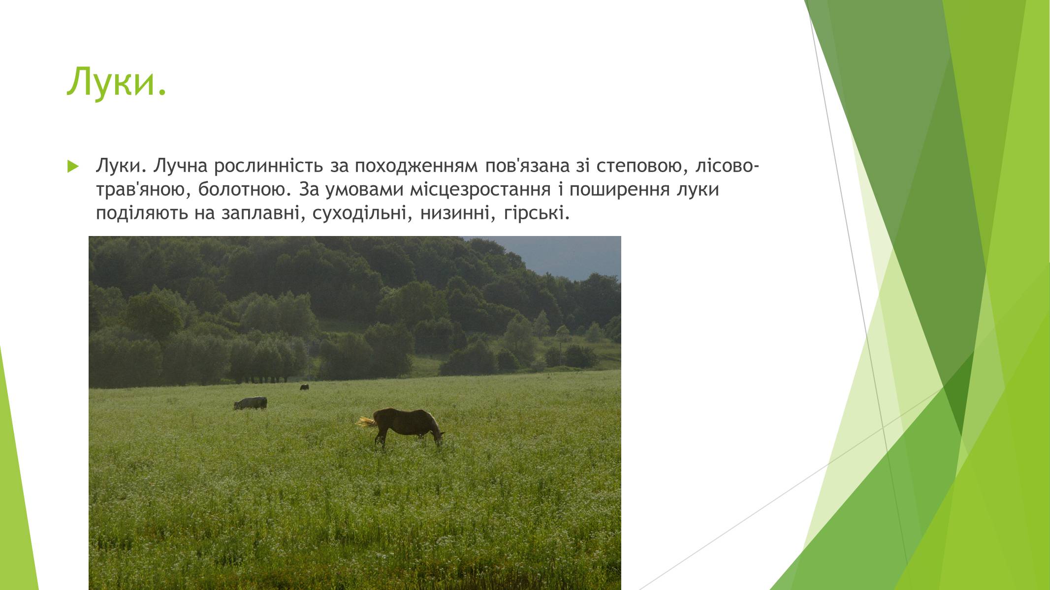 Презентація на тему «Рослинний покрив України» (варіант 1) - Слайд #15 Презентація на тему «Рослинний покрив України» (варіант 1) - Слайд #15
