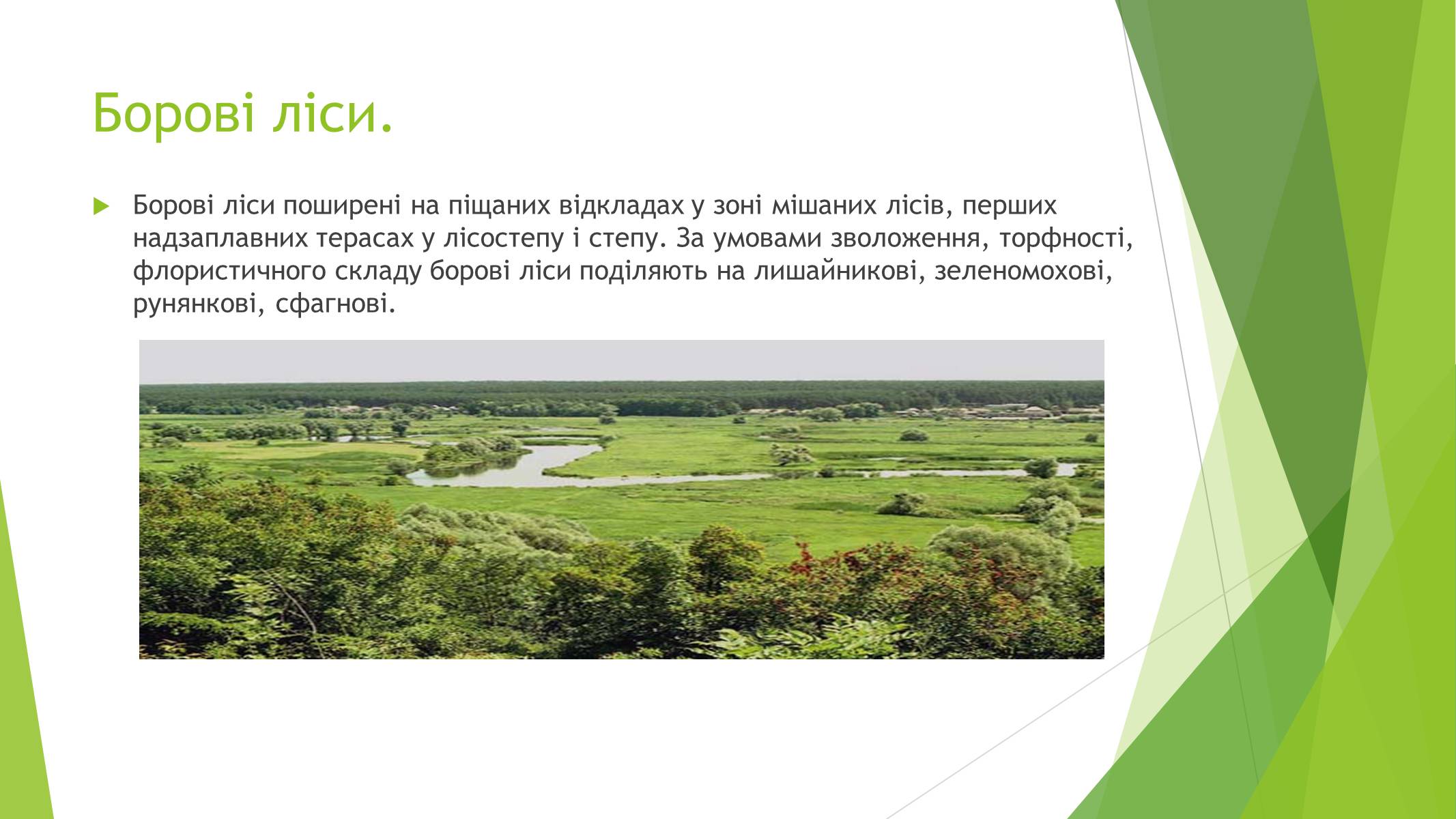 Презентація на тему «Рослинний покрив України» (варіант 1) - Слайд #4 Презентація на тему «Рослинний покрив України» (варіант 1) - Слайд #4