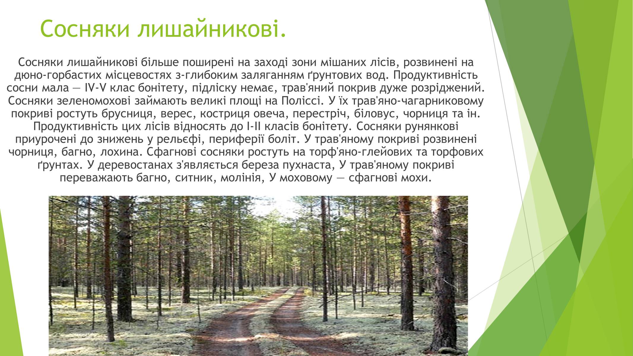 Презентація на тему «Рослинний покрив України» (варіант 1) - Слайд #5 Презентація на тему «Рослинний покрив України» (варіант 1) - Слайд #5