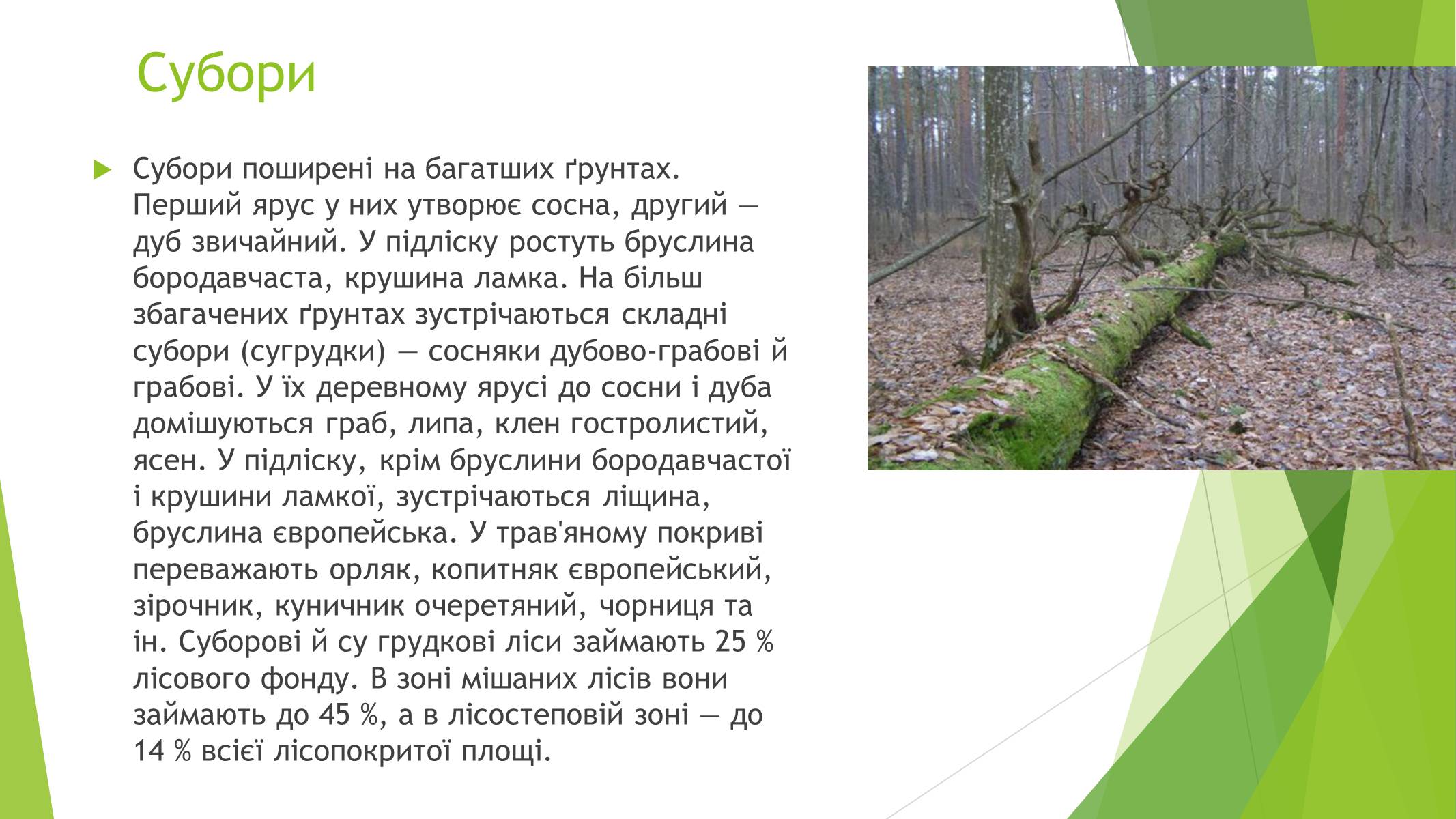 Презентація на тему «Рослинний покрив України» (варіант 1) - Слайд #6 Презентація на тему «Рослинний покрив України» (варіант 1) - Слайд #6