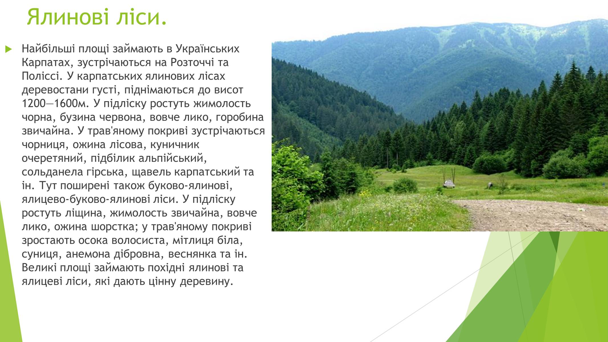 Презентація на тему «Рослинний покрив України» (варіант 1) - Слайд #8 Презентація на тему «Рослинний покрив України» (варіант 1) - Слайд #8