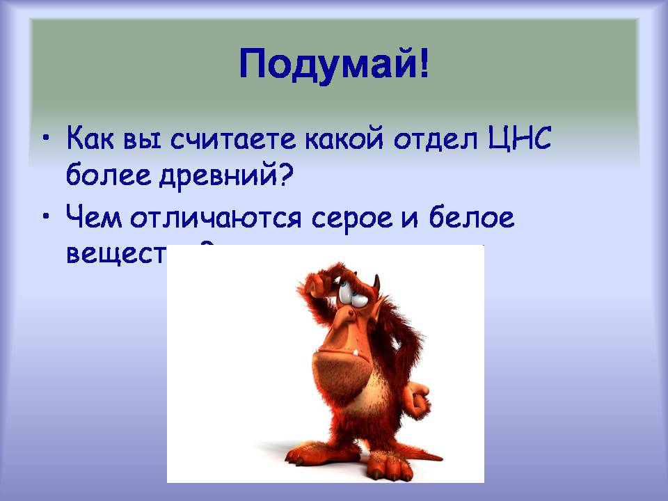 Презентація на тему «Центральная нервная система» - Слайд #19 Презентація на тему «Центральная нервная система» - Слайд #19
