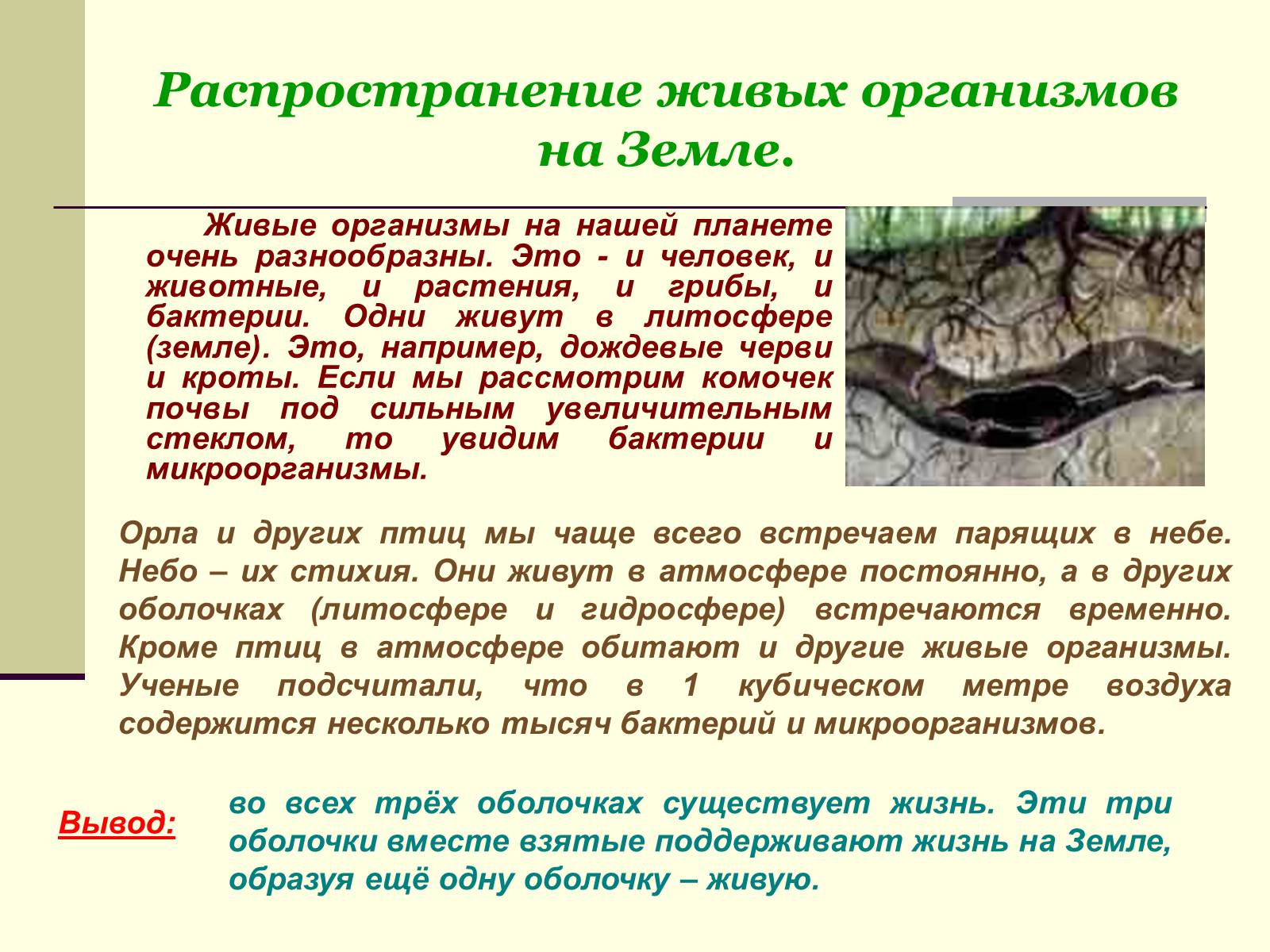 Презентація на тему «Где встречается жизнь на Земле?» - Слайд #14 Презентація на тему «Где встречается жизнь на Земле?» - Слайд #14