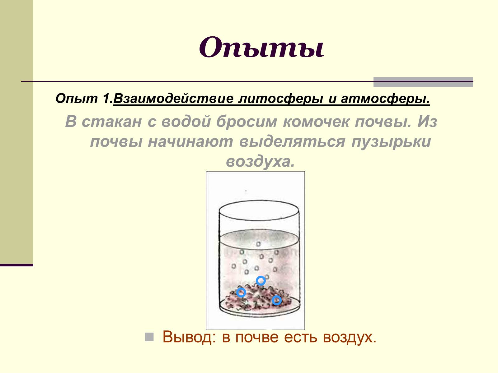 Презентація на тему «Где встречается жизнь на Земле?» - Слайд #8 Презентація на тему «Где встречается жизнь на Земле?» - Слайд #8