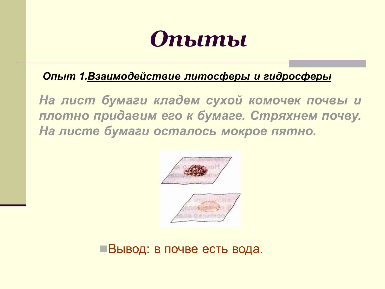 Презентація на тему «Где встречается жизнь на Земле?» - Слайд #9 Презентація на тему «Где встречается жизнь на Земле?» - Слайд #9