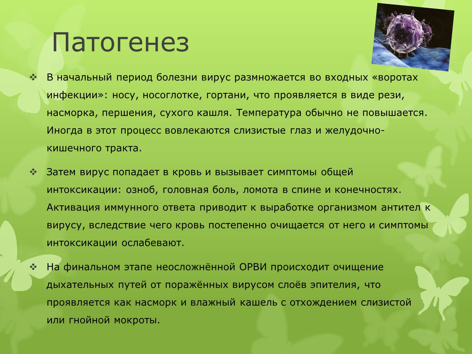Презентація на тему «Острая респираторная вирусная инфекция» - Слайд #4 Презентація на тему «Острая респираторная вирусная инфекция» - Слайд #4