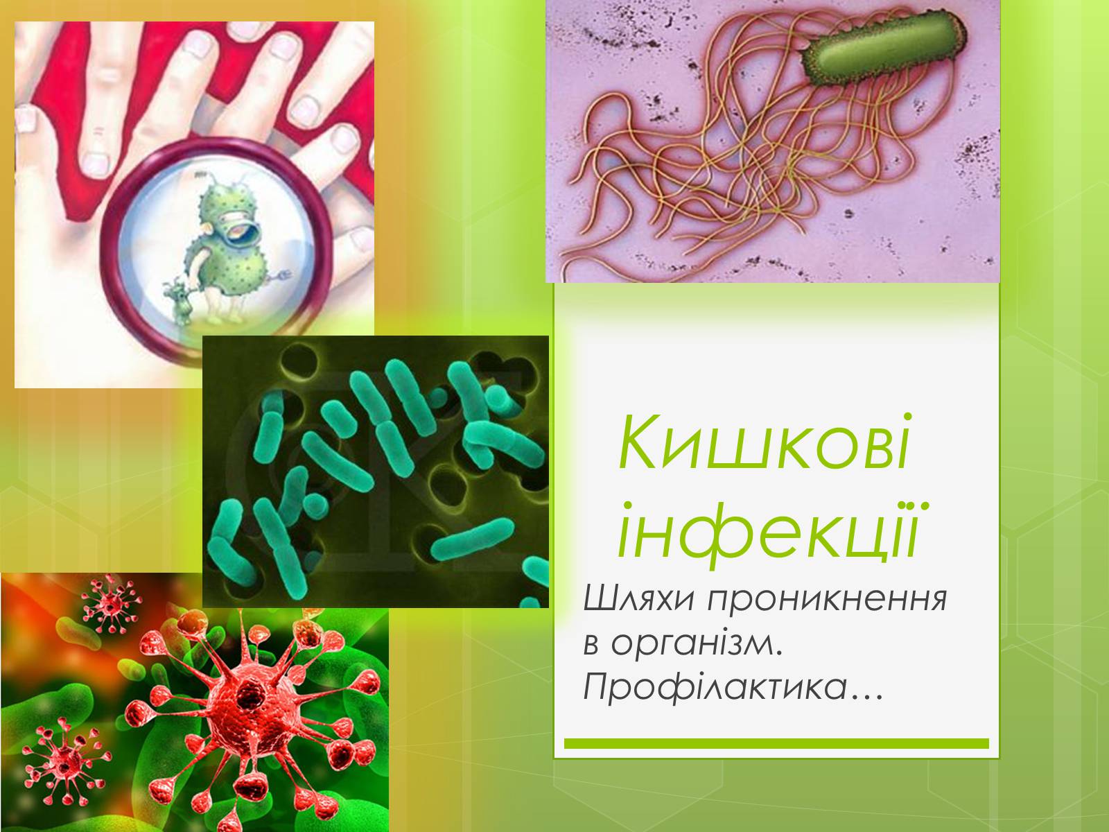 Презентація на тему «Кишкові інфекції» - Слайд #1 Презентація на тему «Кишкові інфекції» - Слайд #1
